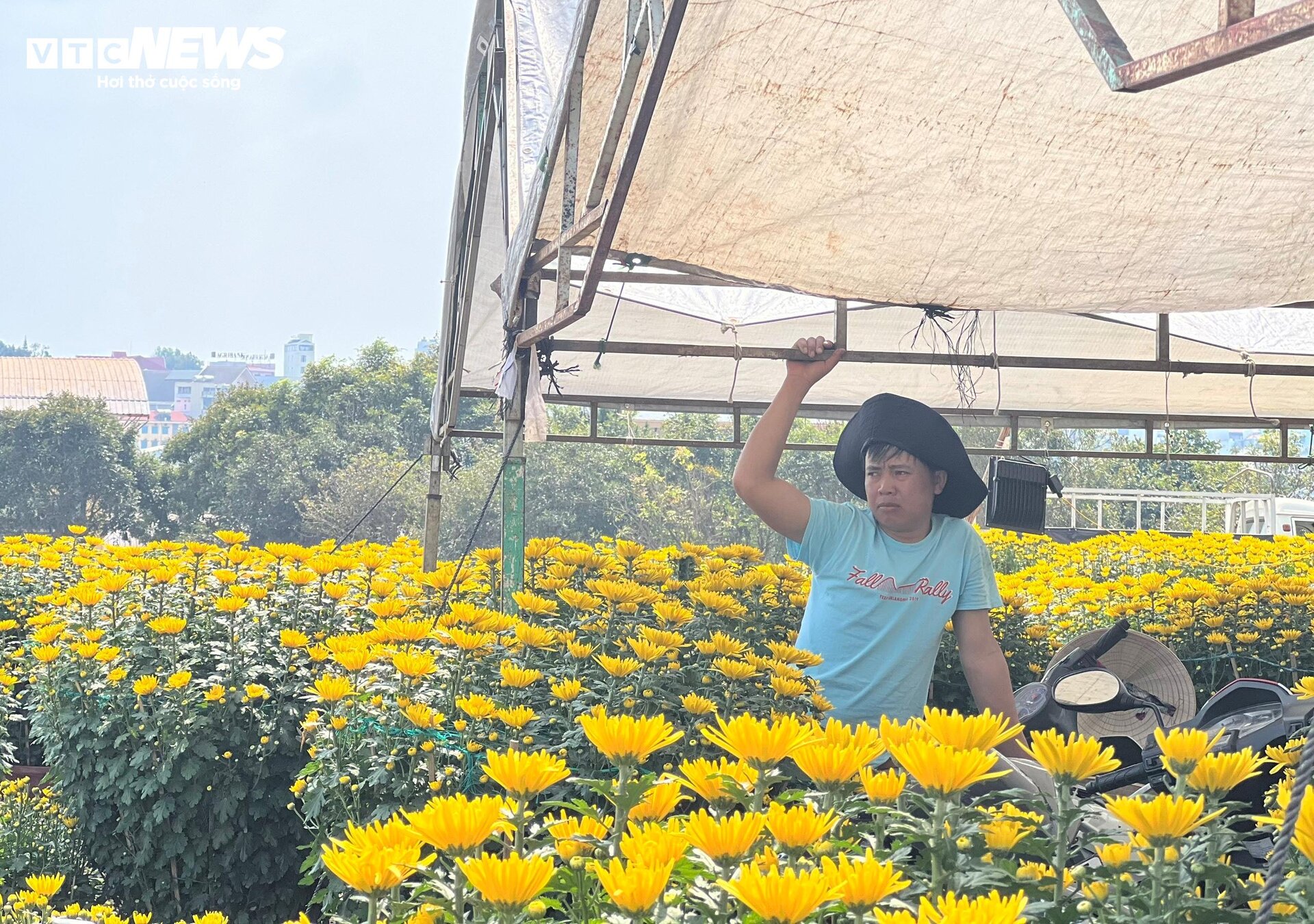 Chợ hoa Tết lớn nhất Gia Lai ảm đạm, tiểu thương 'mỏi mắt' ngóng khách - 8