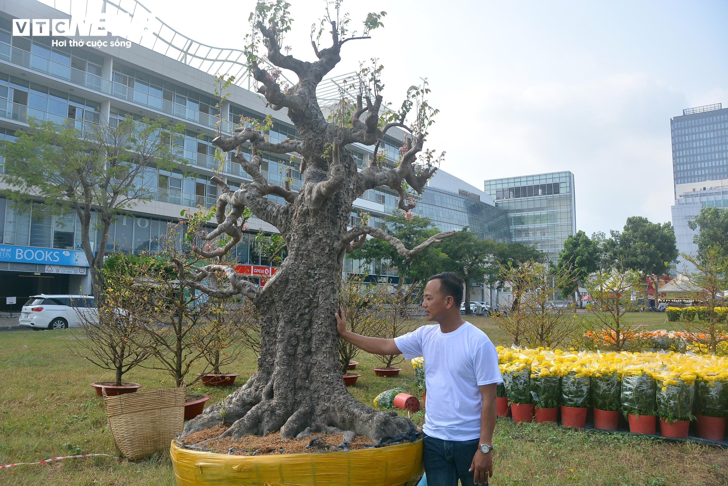 Cận cảnh ‘cụ khế’ giá nửa tỷ đồng ở TP.HCM - 9