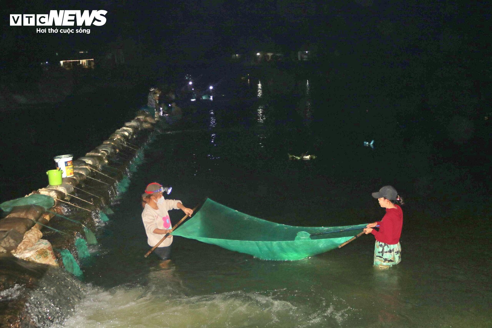 Trắng đêm 'săn' cá chình giống trên sông Cái - 4
