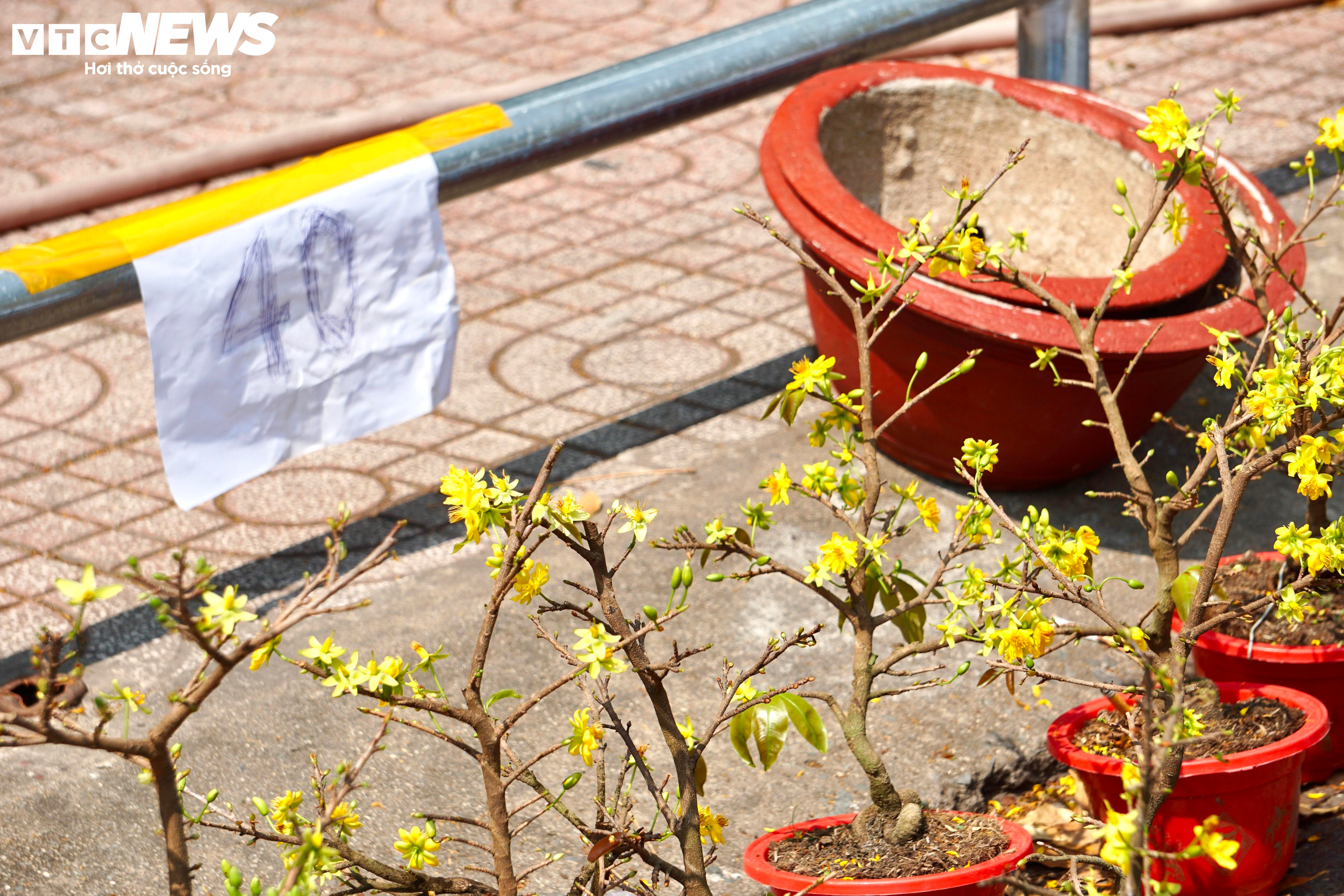 Tiểu thương TP.HCM đồng loạt xả hàng, vừa bán vừa tặng chiều 30 Tết - 6