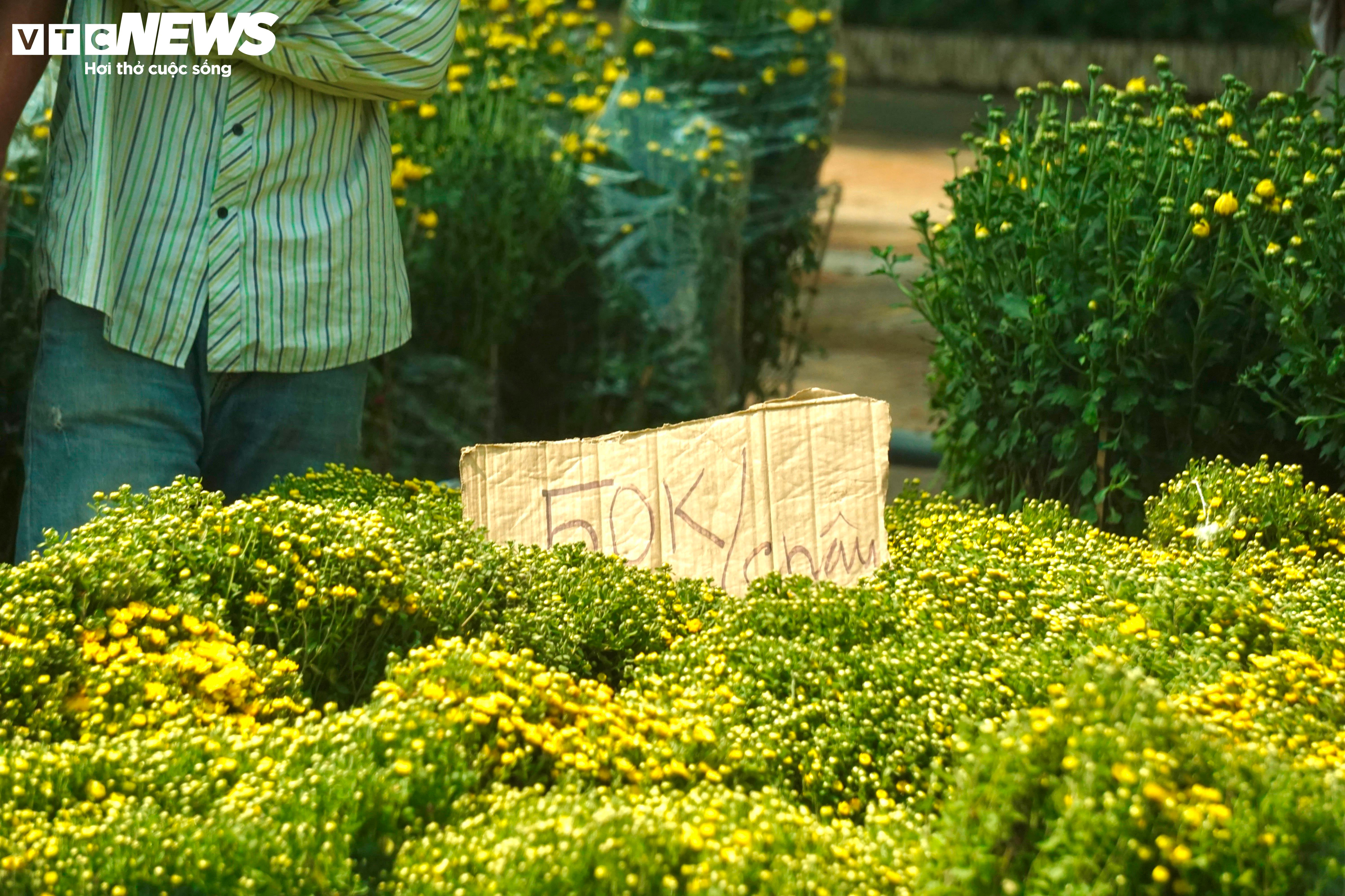 Tiểu thương TP.HCM đồng loạt xả hàng, vừa bán vừa tặng chiều 30 Tết - 5