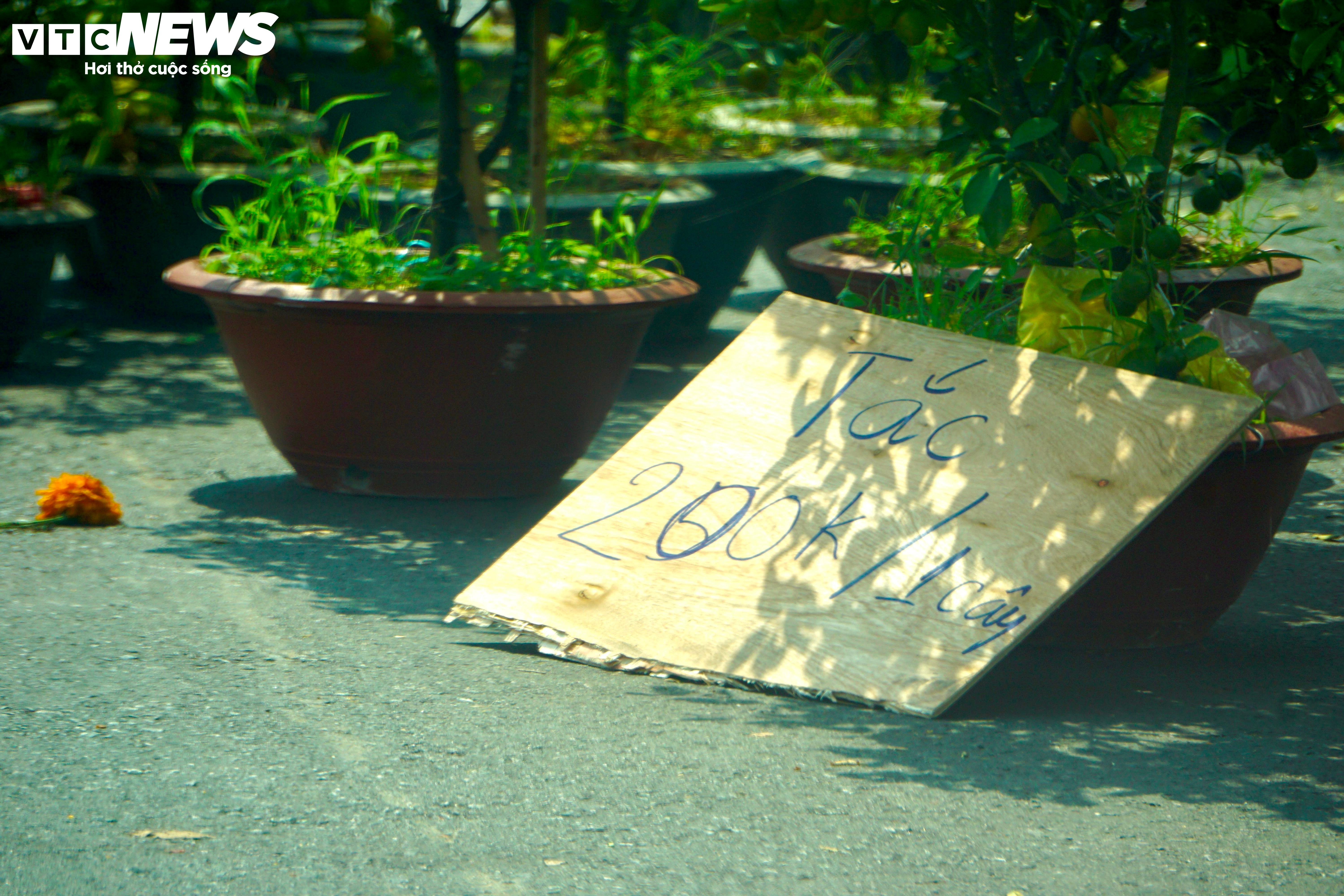 Tiểu thương TP.HCM đồng loạt xả hàng, vừa bán vừa tặng chiều 30 Tết - 8