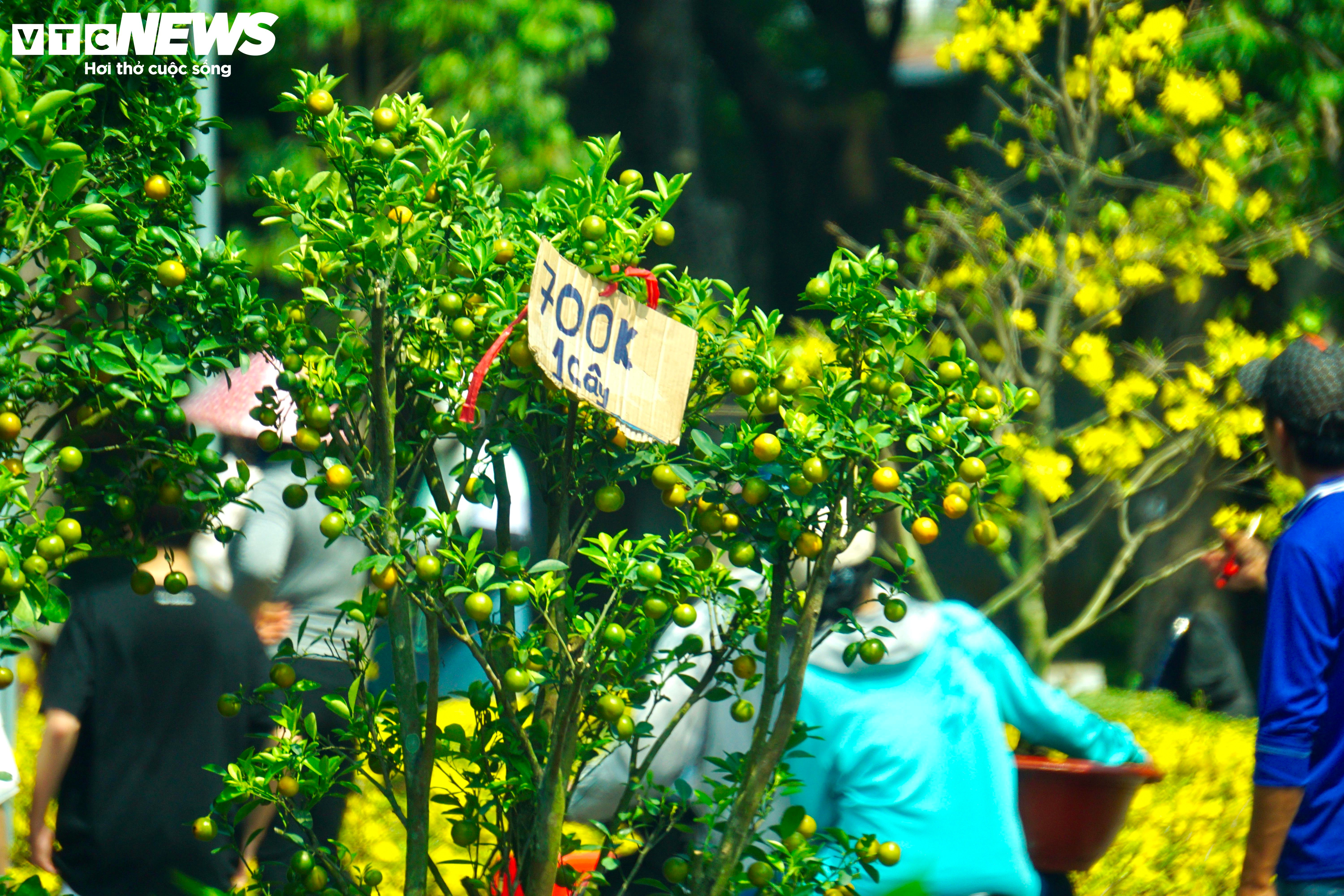 Tiểu thương TP.HCM đồng loạt xả hàng, vừa bán vừa tặng chiều 30 Tết - 3