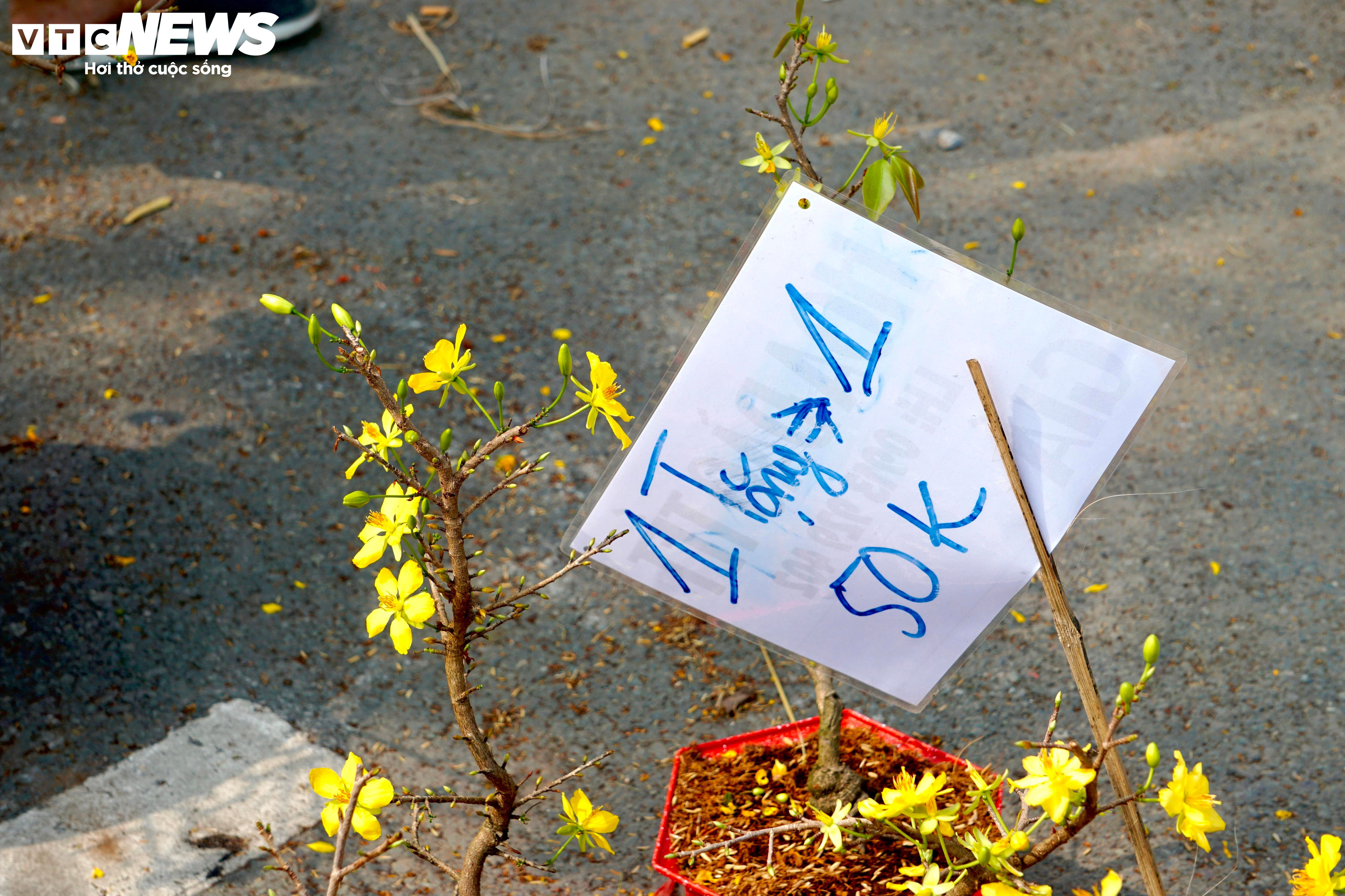 Tiểu thương TP.HCM đồng loạt xả hàng, vừa bán vừa tặng chiều 30 Tết - 7