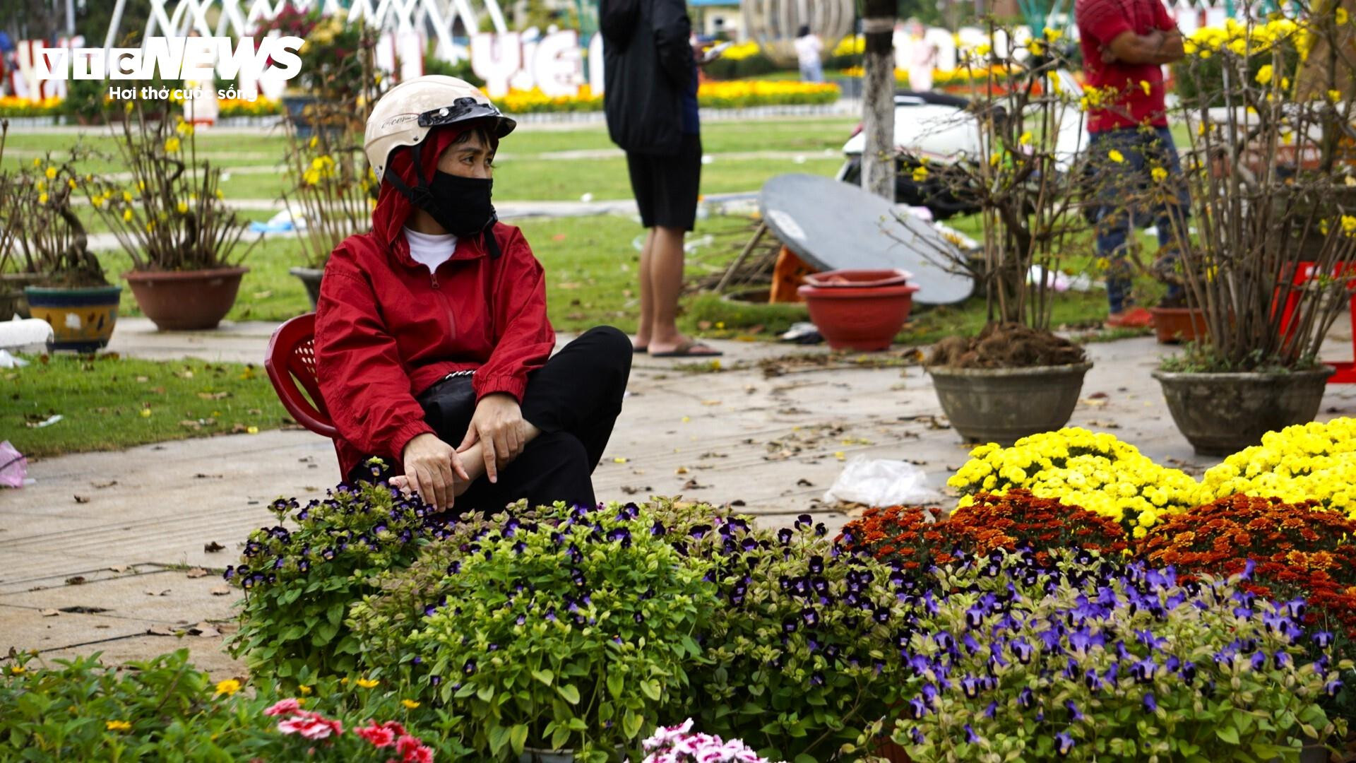 Tâm sự của tiểu thương chợ hoa Bình Định chiều cuối năm - 4