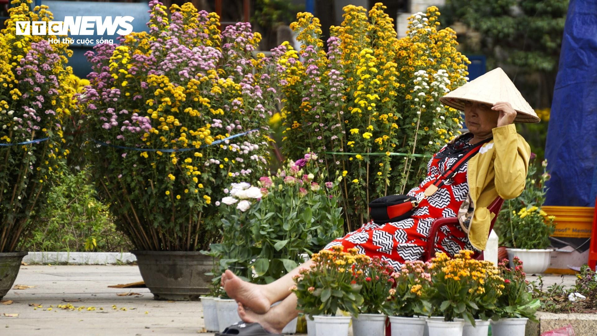 Tâm sự của tiểu thương chợ hoa Bình Định chiều cuối năm - 6