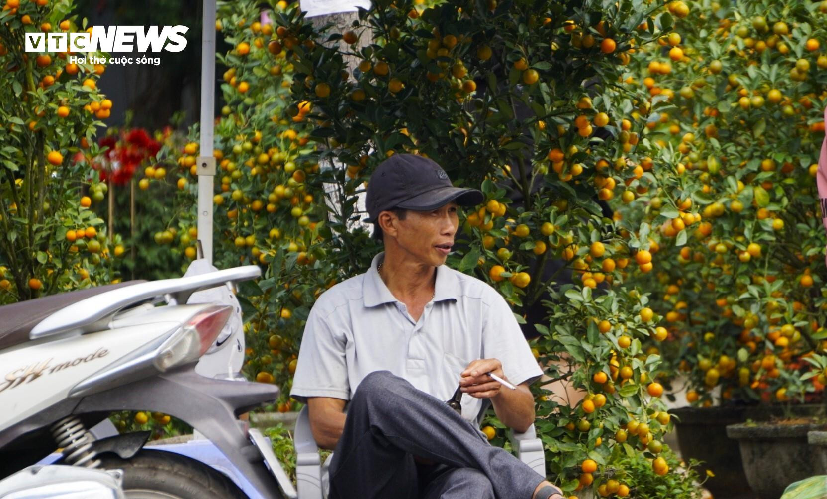 Tâm sự của tiểu thương chợ hoa Bình Định chiều cuối năm - 7