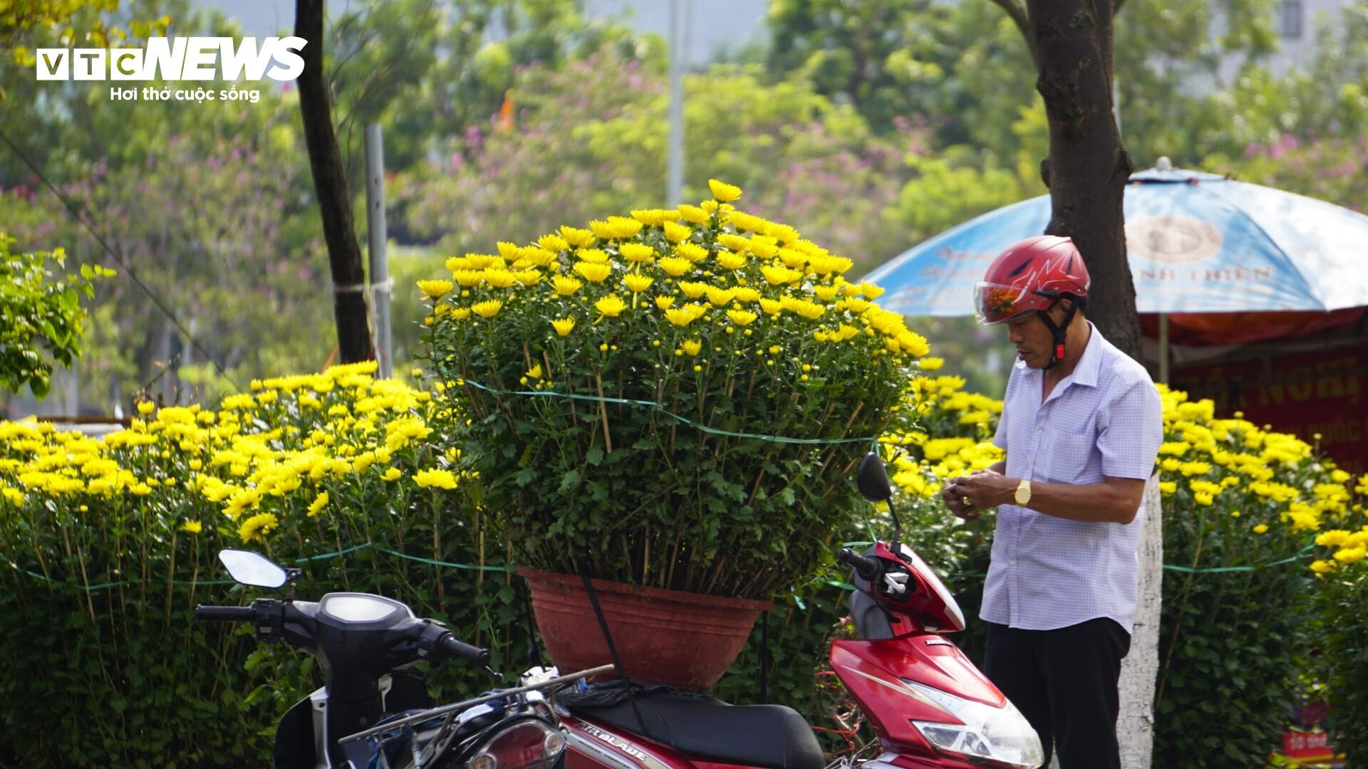 Tâm sự của tiểu thương chợ hoa Bình Định chiều cuối năm - 5