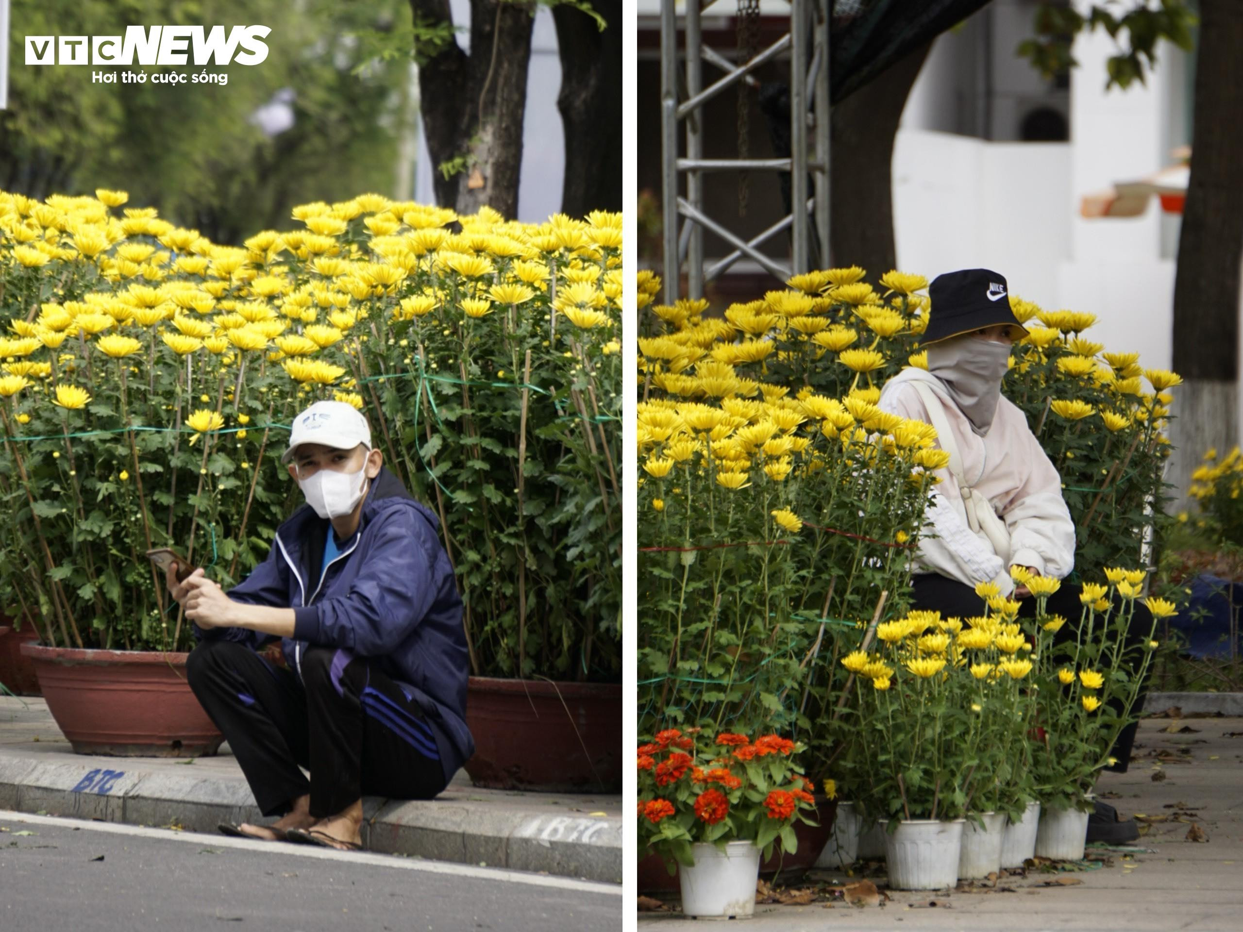 Tâm sự của tiểu thương chợ hoa Bình Định chiều cuối năm - 2