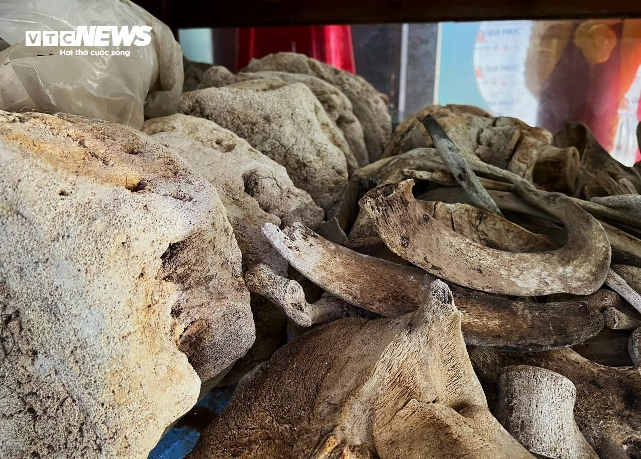 Đức tin cá Ông, vị phúc thần của ngư dân vùng biển Bình Định - 3