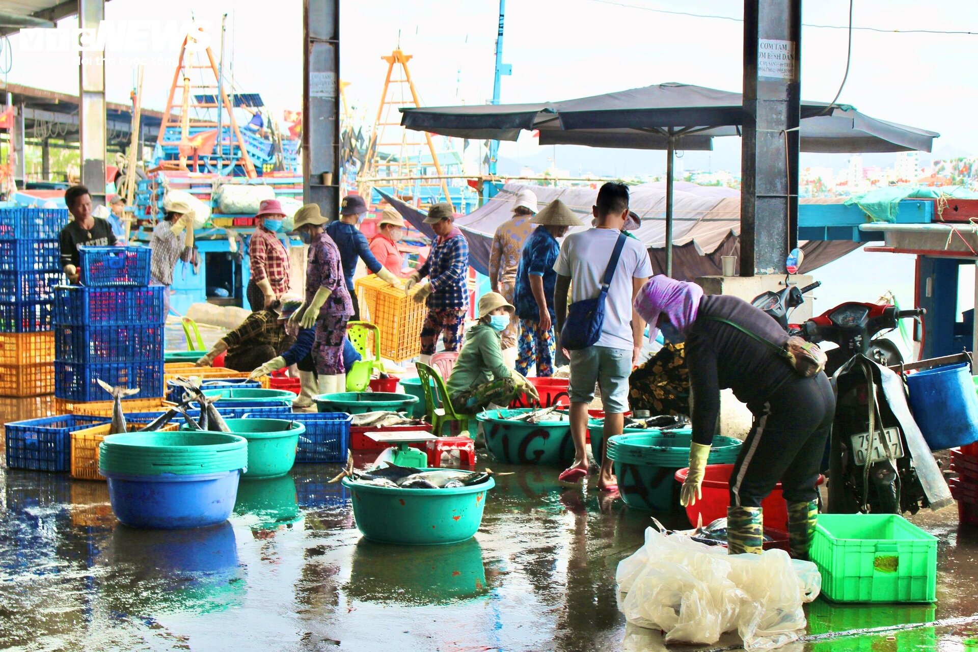 Ngư dân đón lộc đầu năm sau chuyến biển xuyên Tết - 1