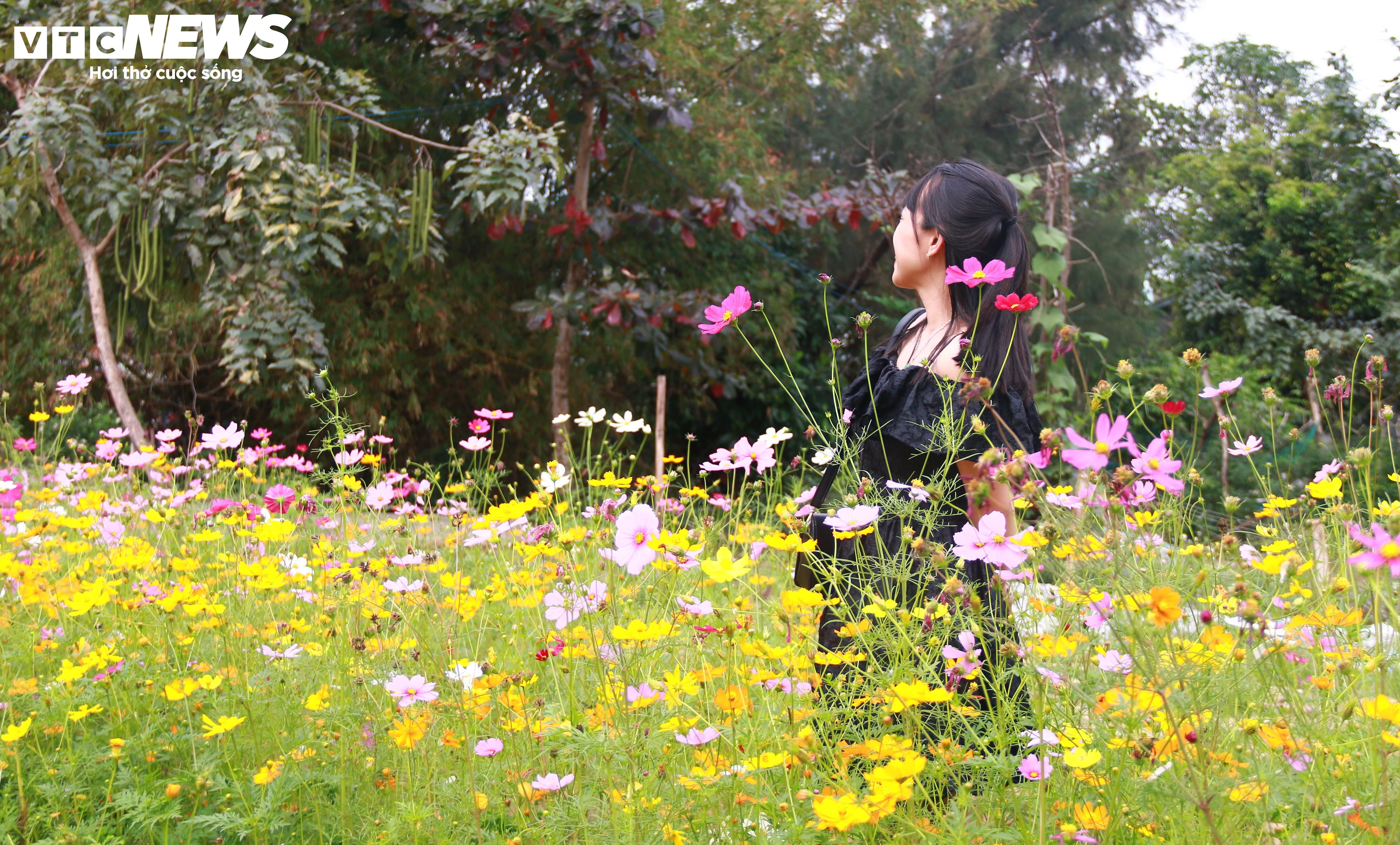 Du khách nước ngoài thích thú vọc đất, trồng rau cùng nông dân xứ Quảng - 9