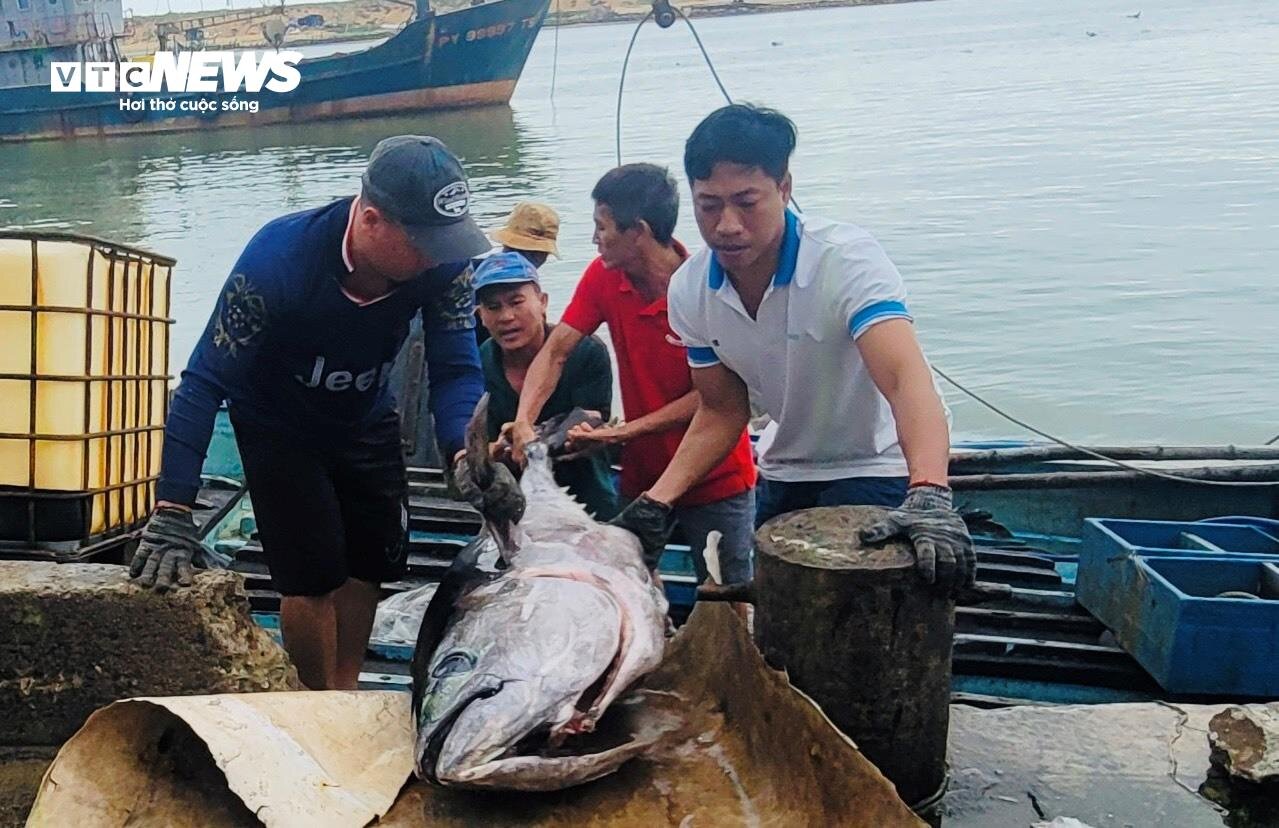Ngư dân đón lộc đầu năm sau chuyến biển xuyên Tết - 8
