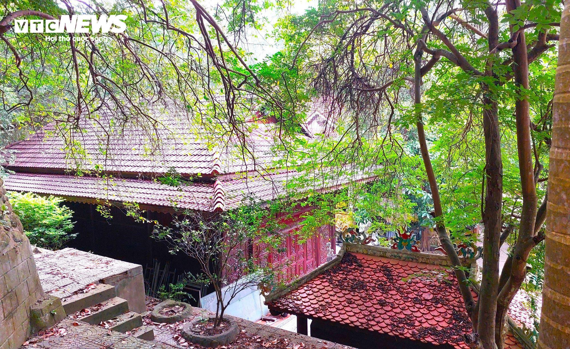 Bất chấp lệnh tháo dỡ, biệt phủ của đại gia vàng vẫn ‘yên vị’ trên núi Hải Vân - 7