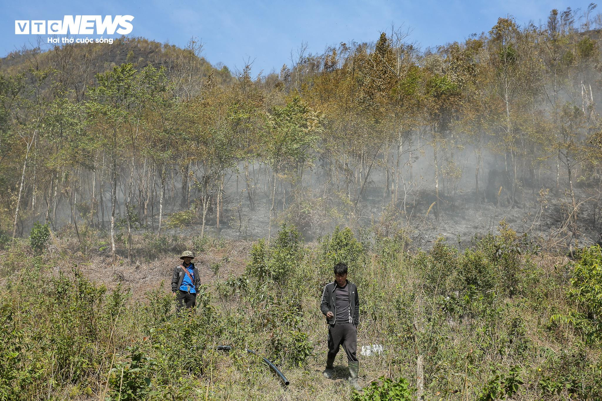 Bữa cơm vội vàng của những chiến sỹ ngăn 'giặc lửa' ở Vườn quốc gia Hoàng Liên - 4