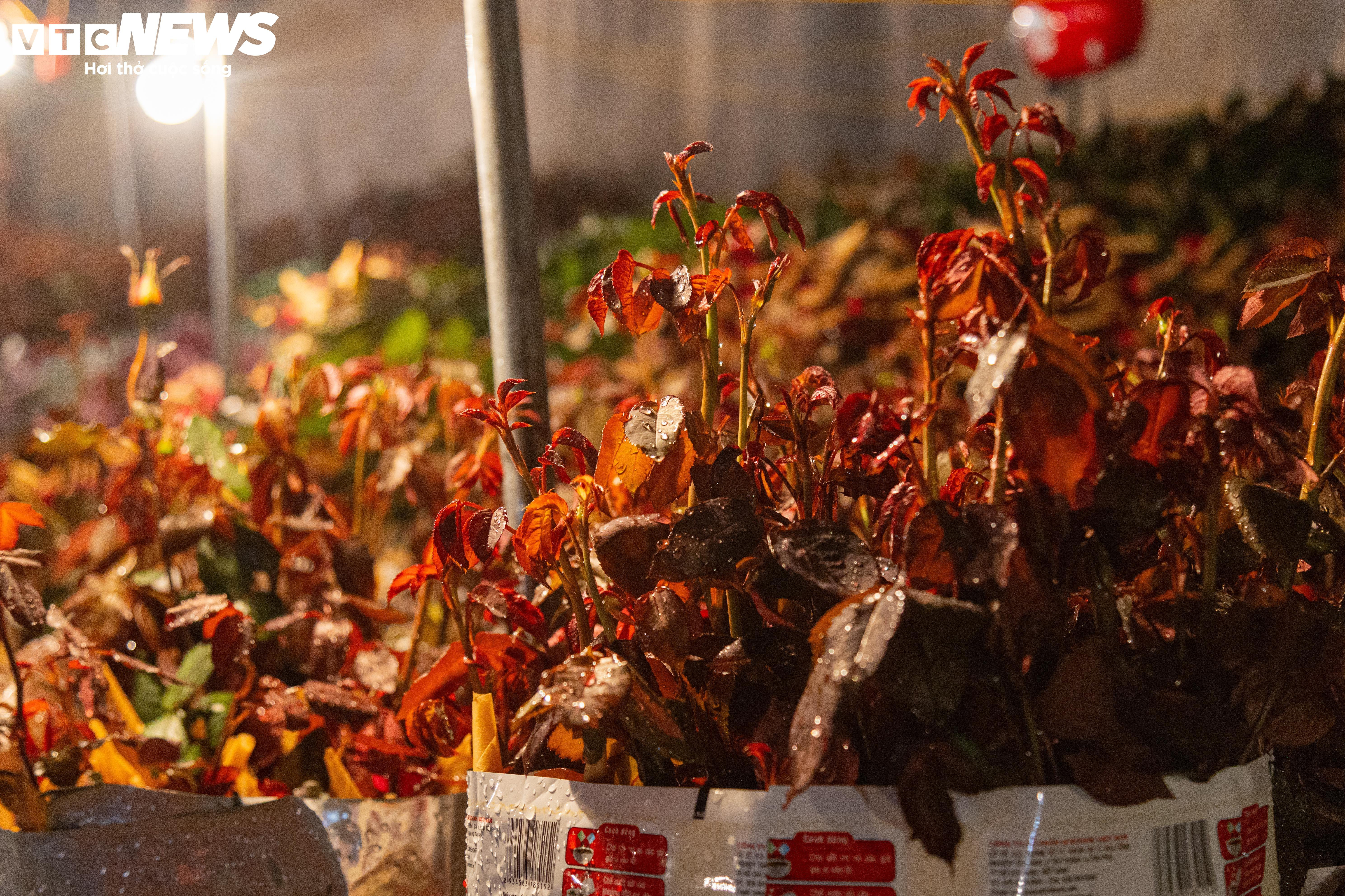 Hoa tươi, thực phẩm dồi dào, giá cả ổn định trước ngày rằm tháng Giêng - 3