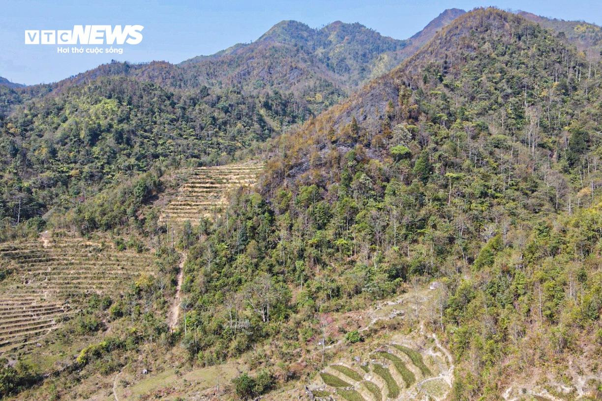 Bay Flycam rà soát, xử lý từng gốc cây cháy âm ỉ tại Vườn quốc gia Hoàng Liên - 5