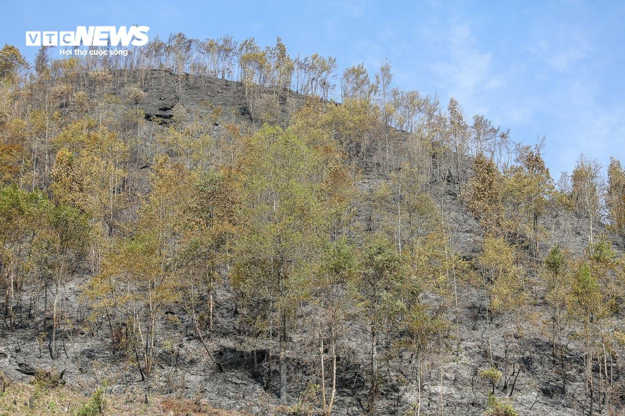 Bay Flycam rà soát, xử lý từng gốc cây cháy âm ỉ tại Vườn quốc gia Hoàng Liên - 13