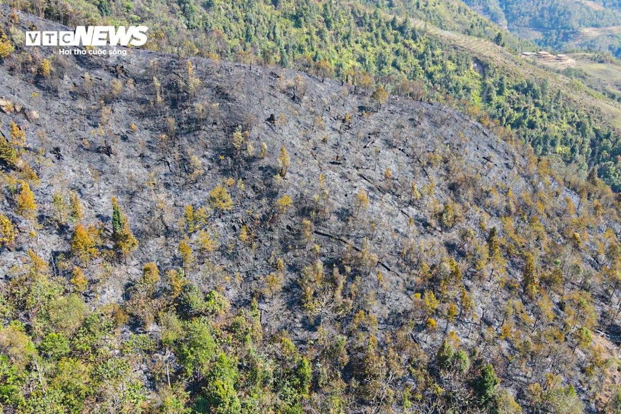 Bay Flycam rà soát, xử lý từng gốc cây cháy âm ỉ tại Vườn quốc gia Hoàng Liên - 4