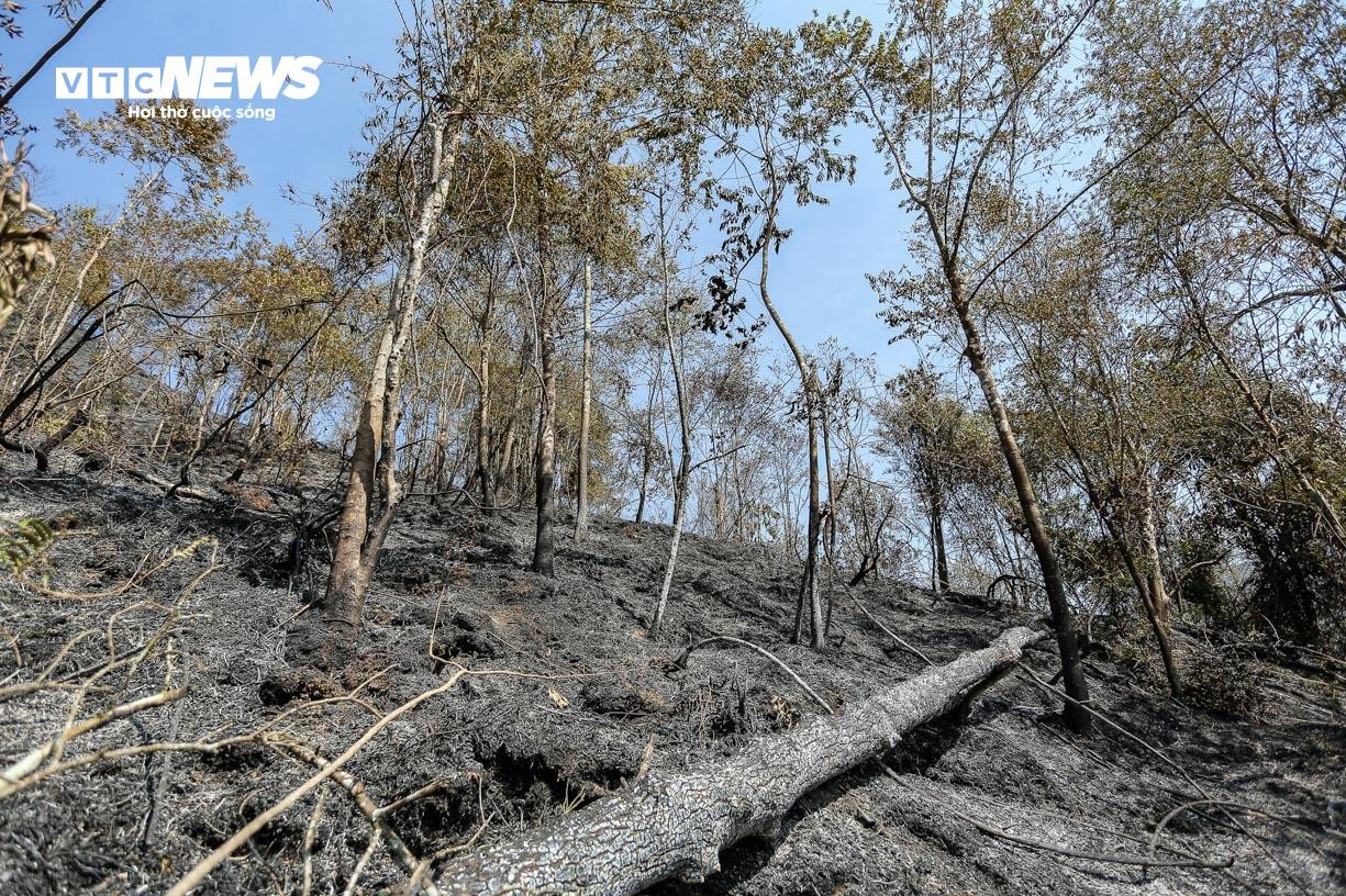 Bay Flycam rà soát, xử lý từng gốc cây cháy âm ỉ tại Vườn quốc gia Hoàng Liên - 8