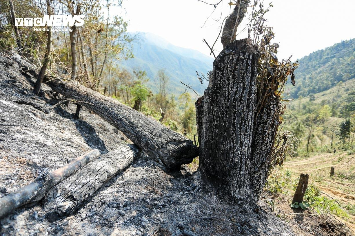 Bay Flycam rà soát, xử lý từng gốc cây cháy âm ỉ tại Vườn quốc gia Hoàng Liên - 9