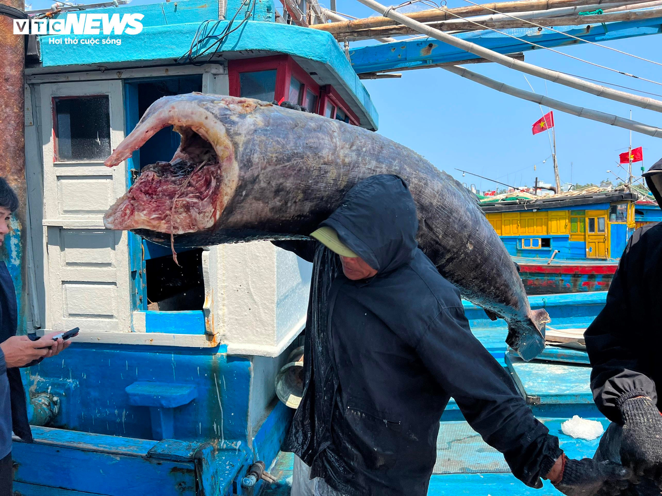 Vươn khơi câu cá ngừ đại dương xuyên Tết, nhiều ngư dân Quảng Ngãi thất thu - 8