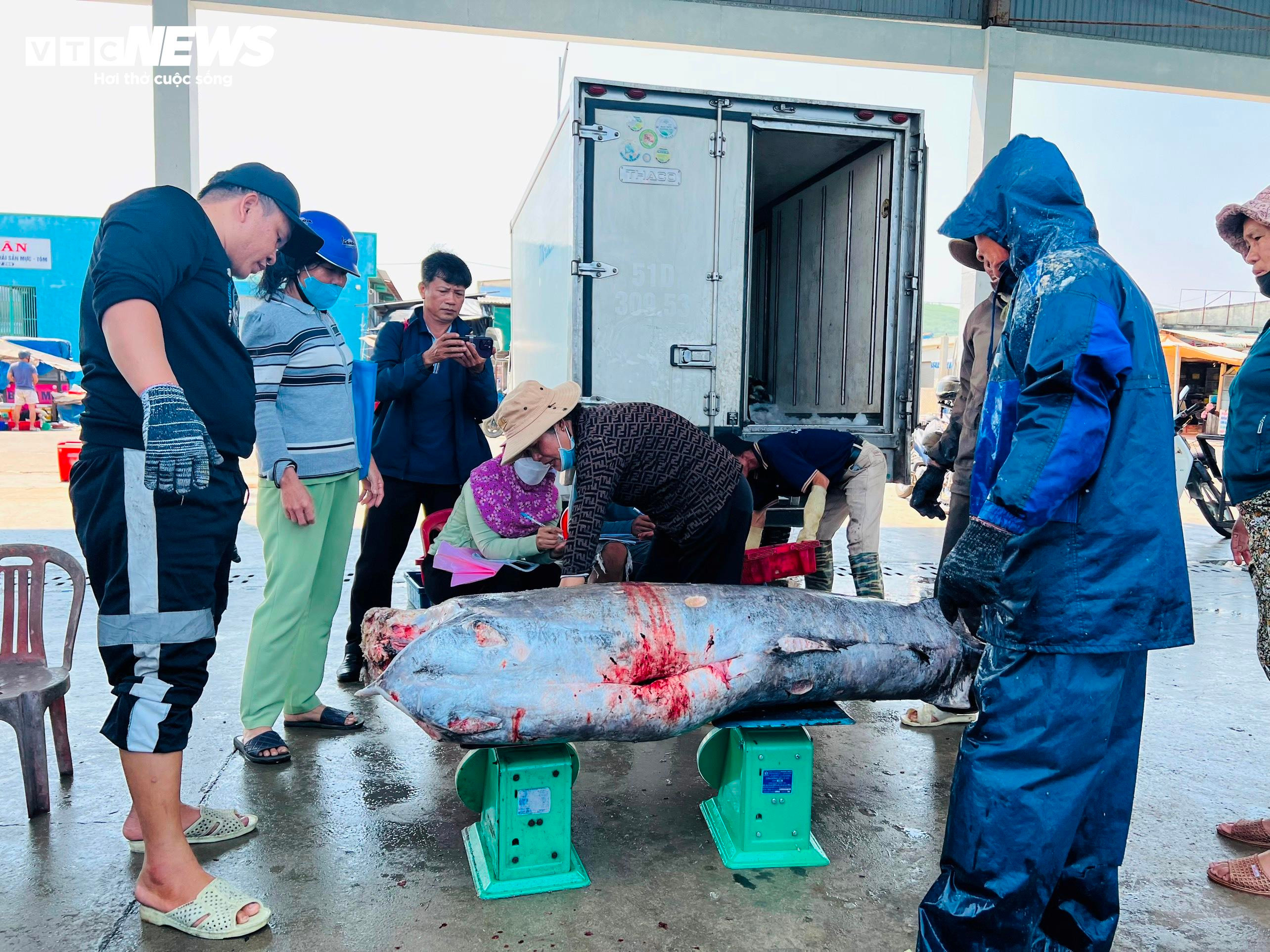 Vươn khơi câu cá ngừ đại dương xuyên Tết, nhiều ngư dân Quảng Ngãi thất thu - 7