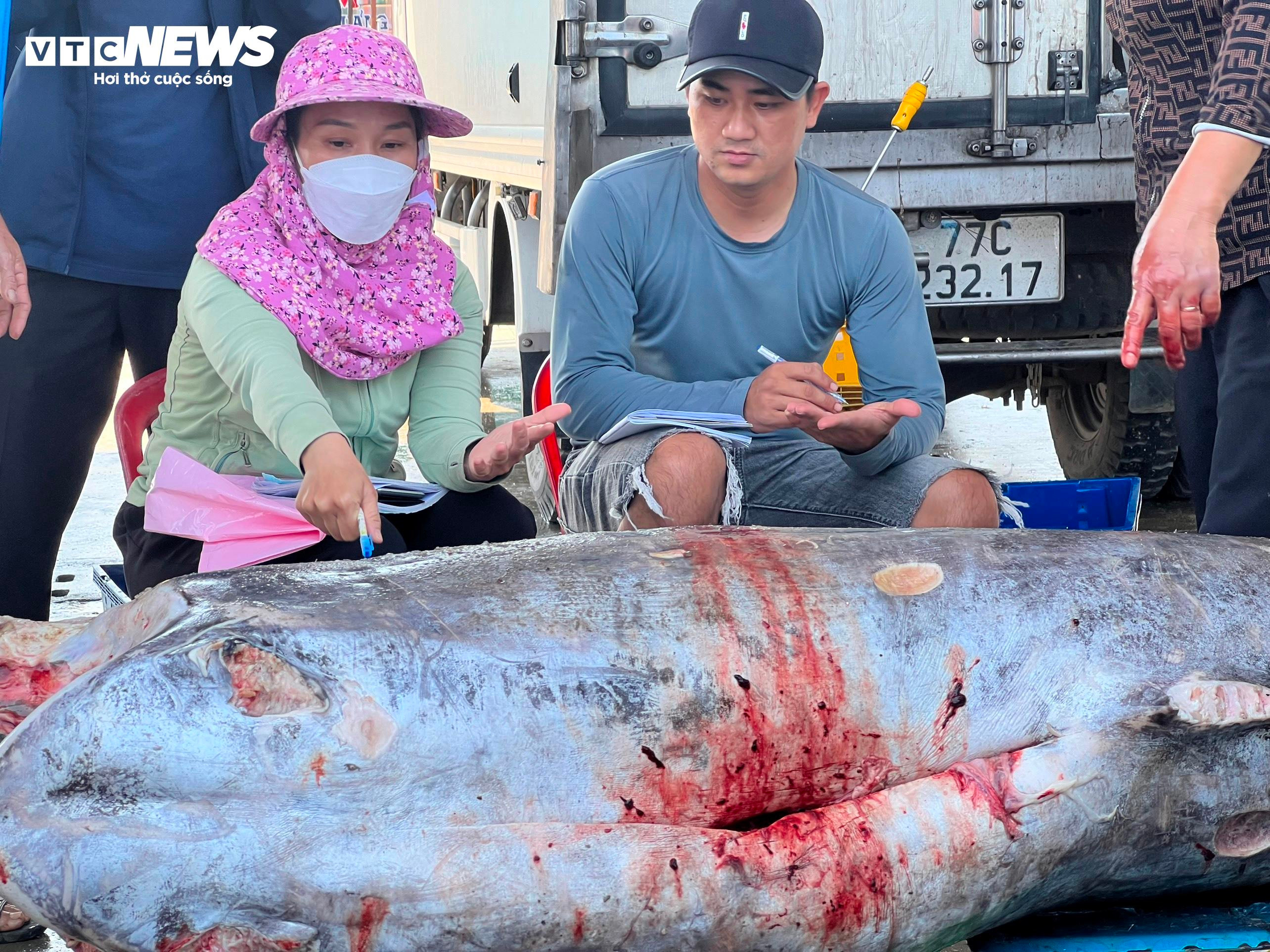 Vươn khơi câu cá ngừ đại dương xuyên Tết, nhiều ngư dân Quảng Ngãi thất thu - 6