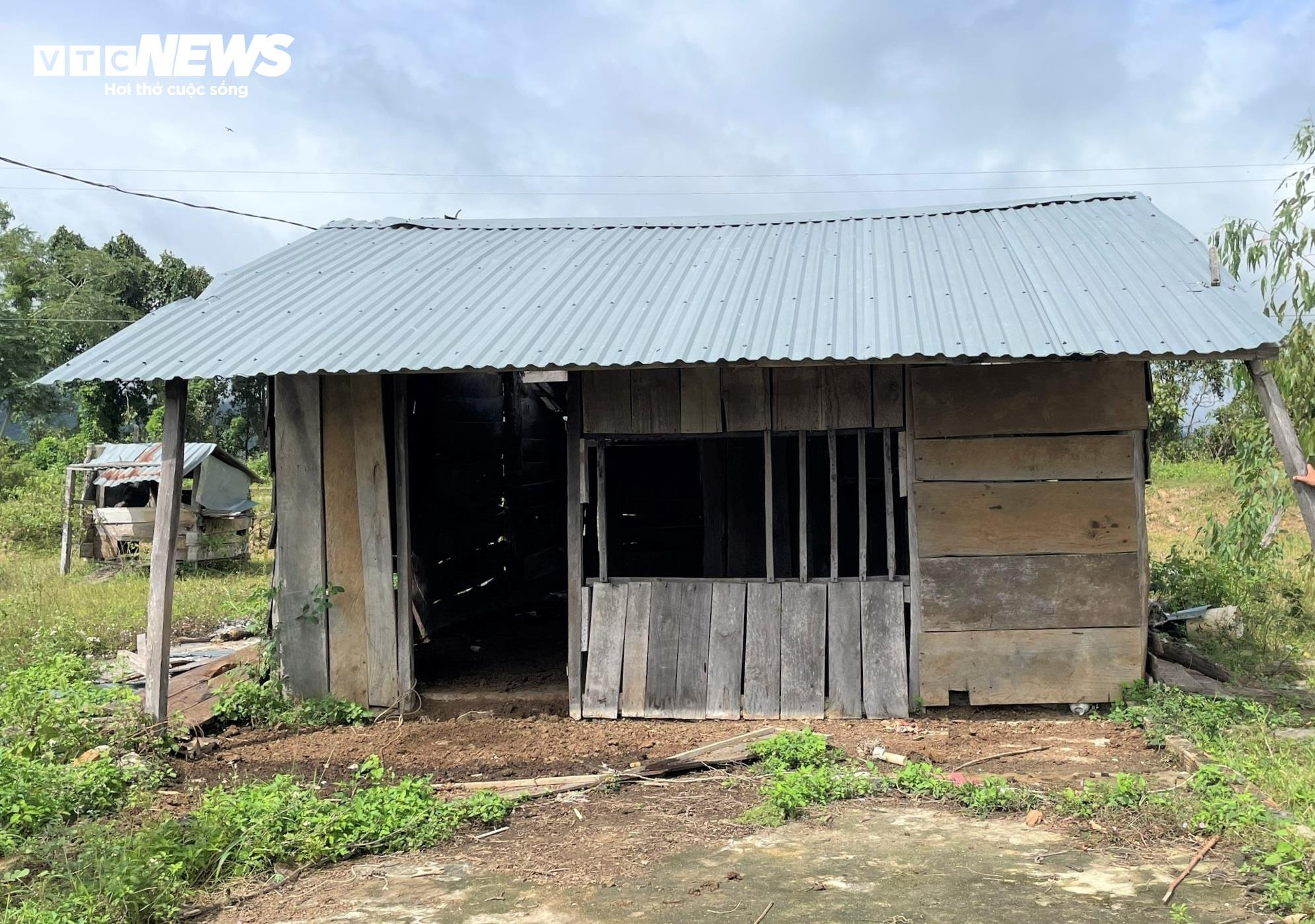 Dân chê không ở, khu tái định cư tiền tỷ thành nơi chăn bò - 4