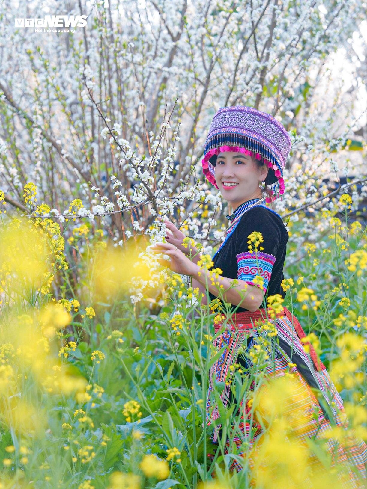 Cao nguyên Tả Van Chư đẹp yên bình mùa hoa mận trắng - 11