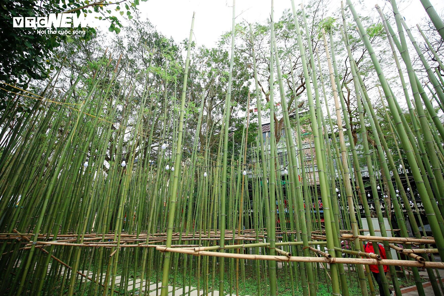 Du khách nước ngoài mê mẩn vườn trúc đẹp như trong phim ở Hà Nội - 12