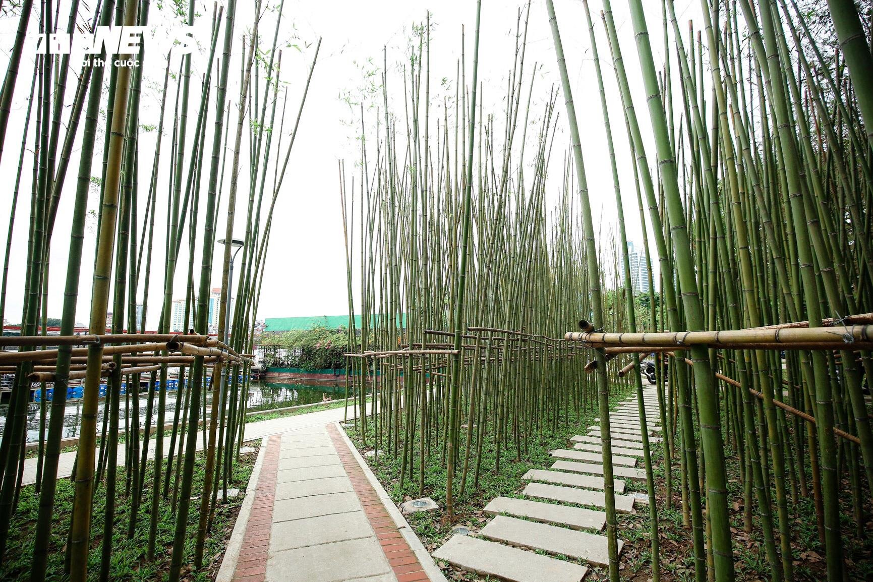 Du khách nước ngoài mê mẩn vườn trúc đẹp như trong phim ở Hà Nội - 13