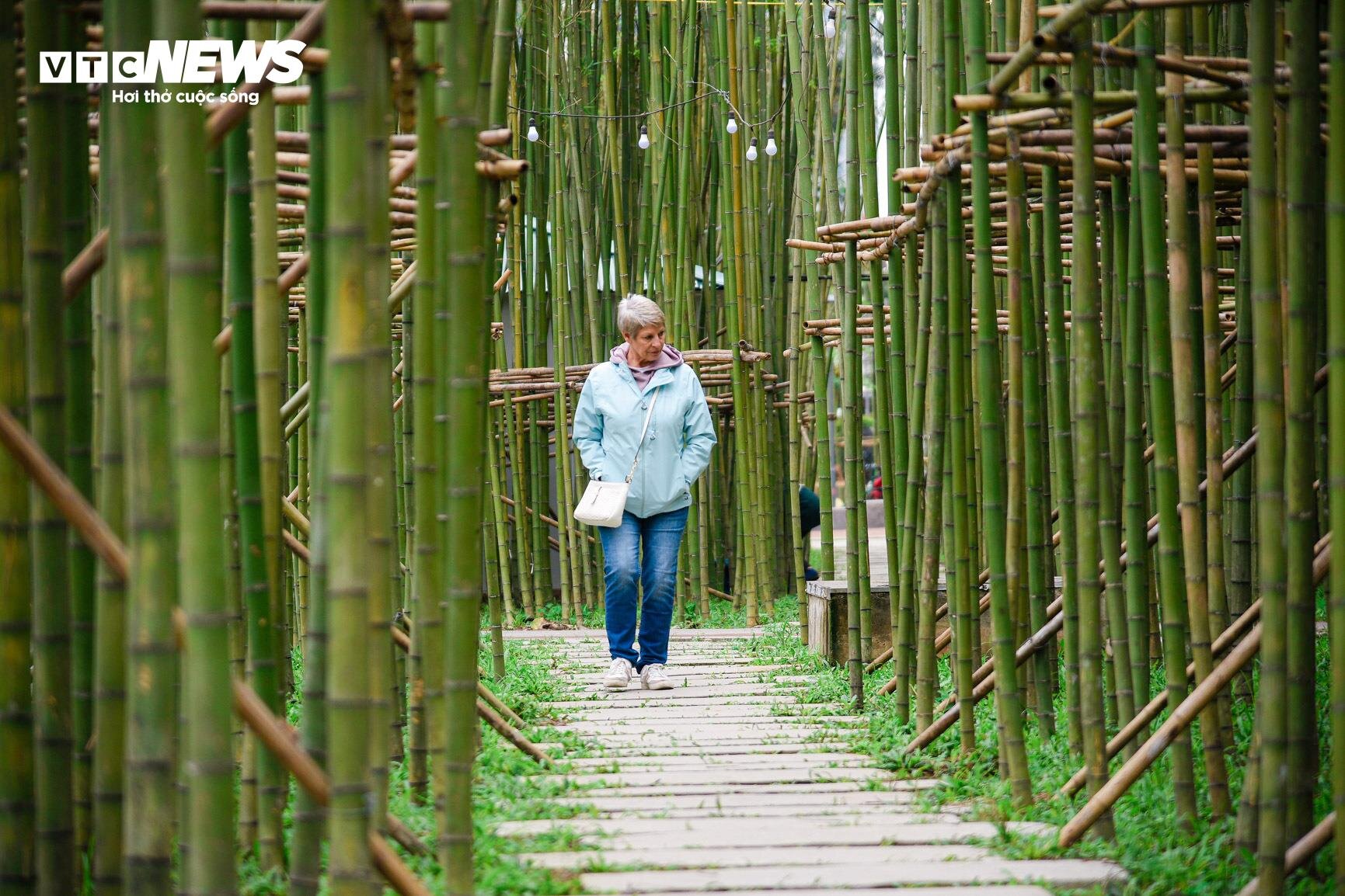 Du khách nước ngoài mê mẩn vườn trúc đẹp như trong phim ở Hà Nội - 8