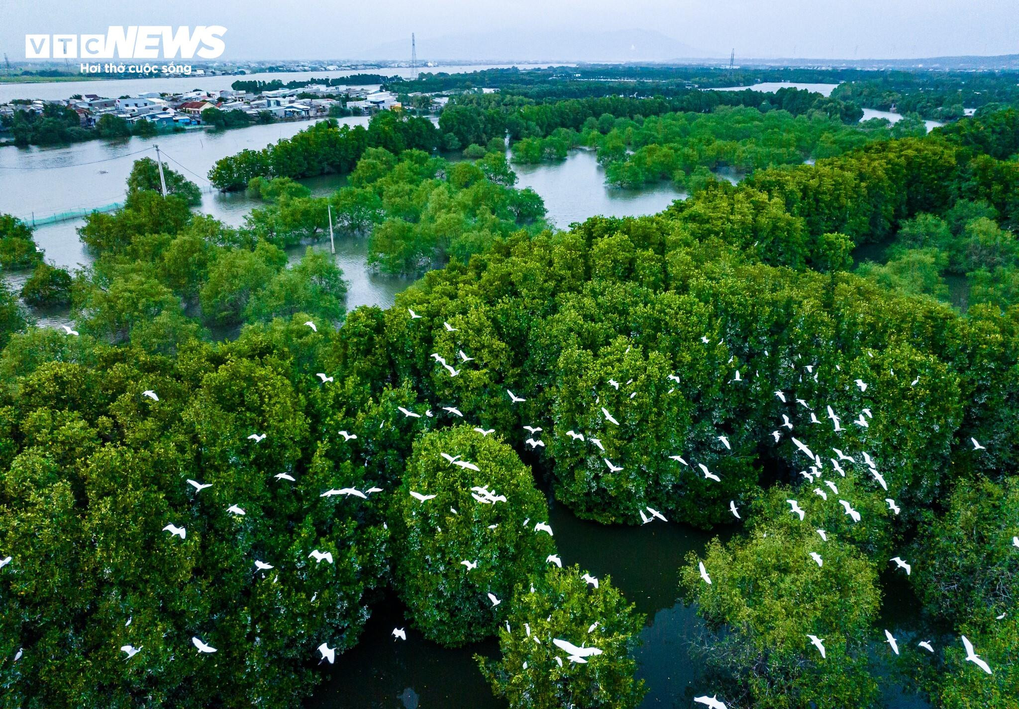 Cận cảnh nơi các tay đua quốc tế sẽ tranh tài 'lướt sóng' tốc độ cao ở Bình Định - 3