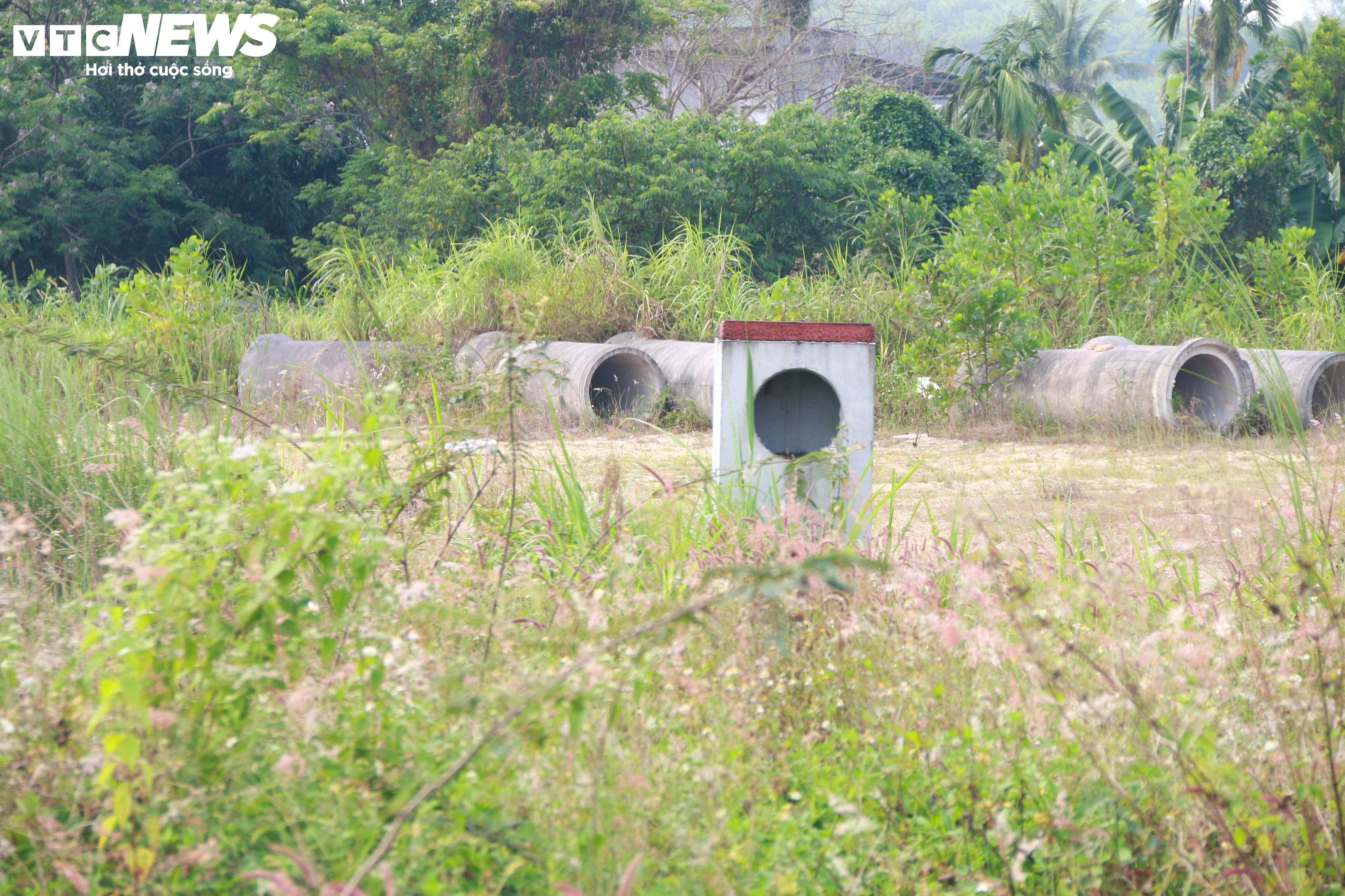Sau 9 năm triển khai, khu dân cư kiểu mẫu ở Quảng Ngãi thành nơi chăn bò - 3