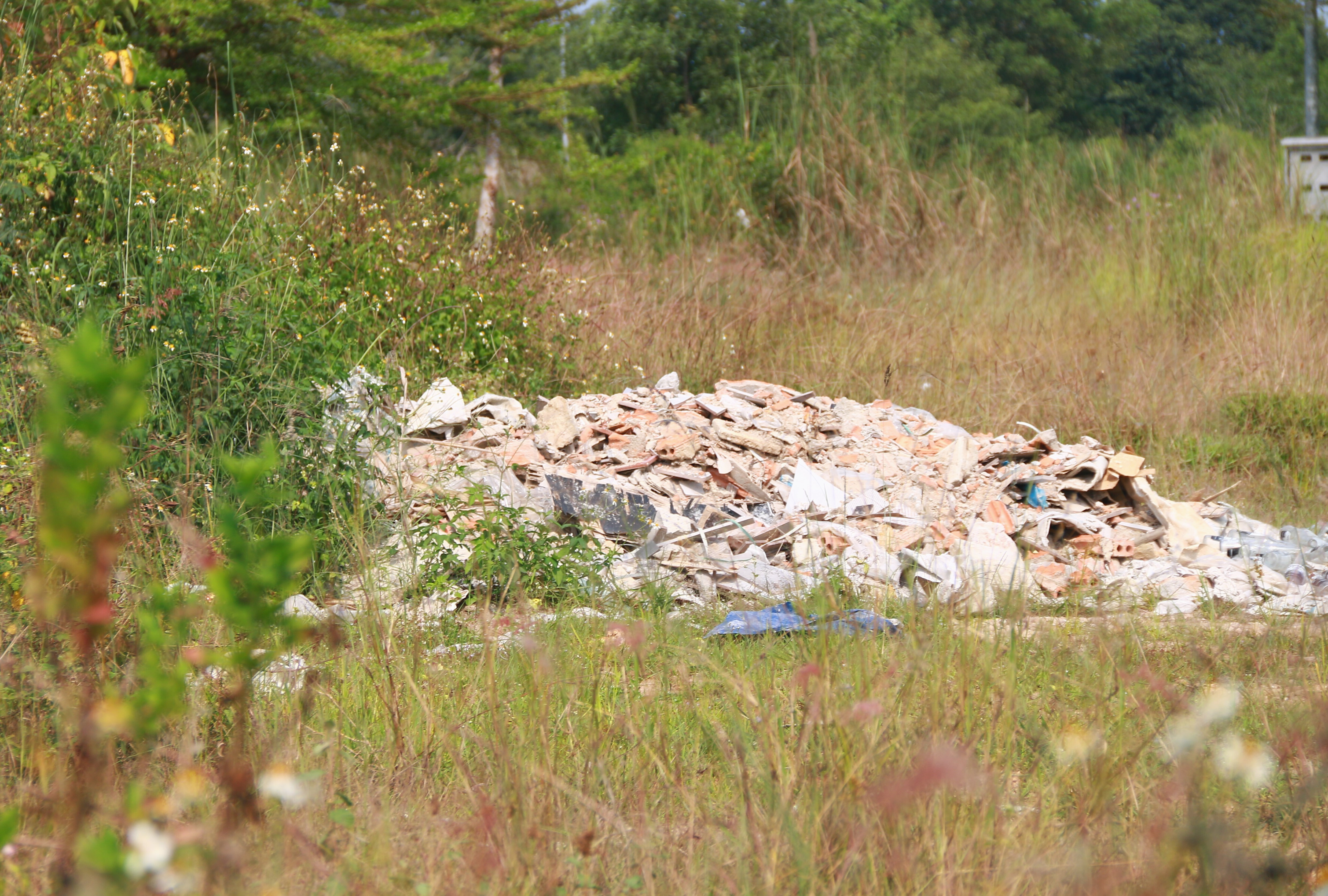 Sau 9 năm triển khai, khu dân cư kiểu mẫu ở Quảng Ngãi thành nơi chăn bò - 11