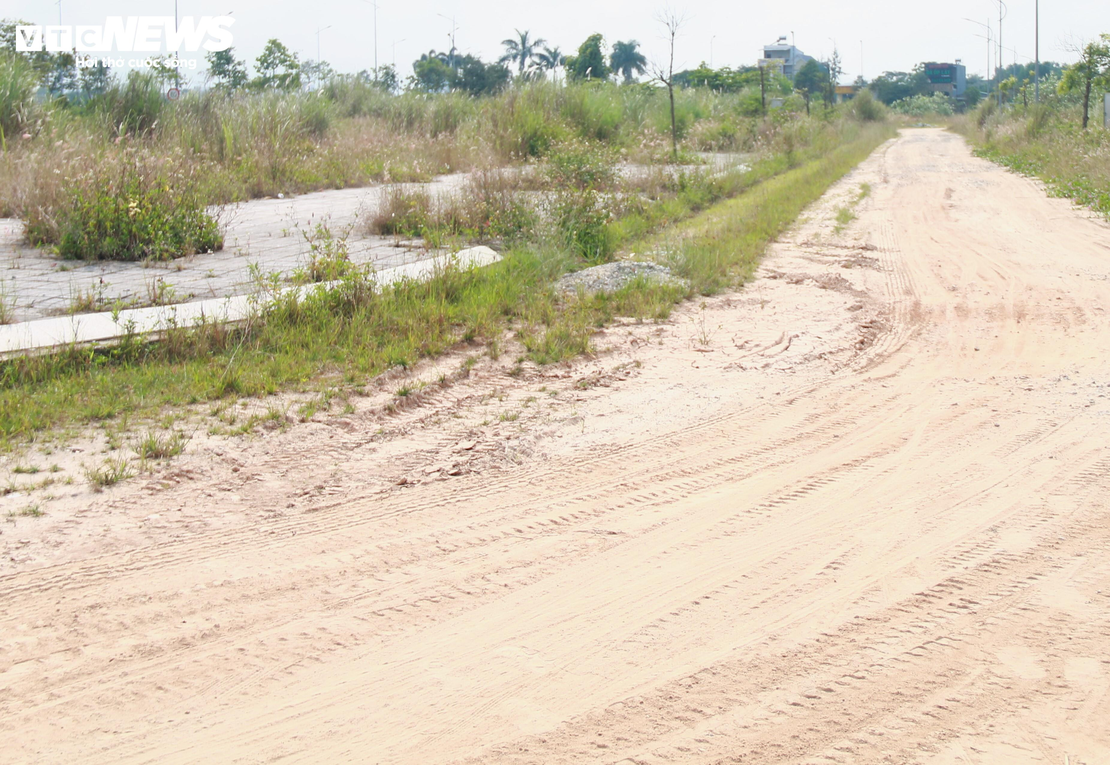 Sau 9 năm triển khai, khu dân cư kiểu mẫu ở Quảng Ngãi thành nơi chăn bò - 4