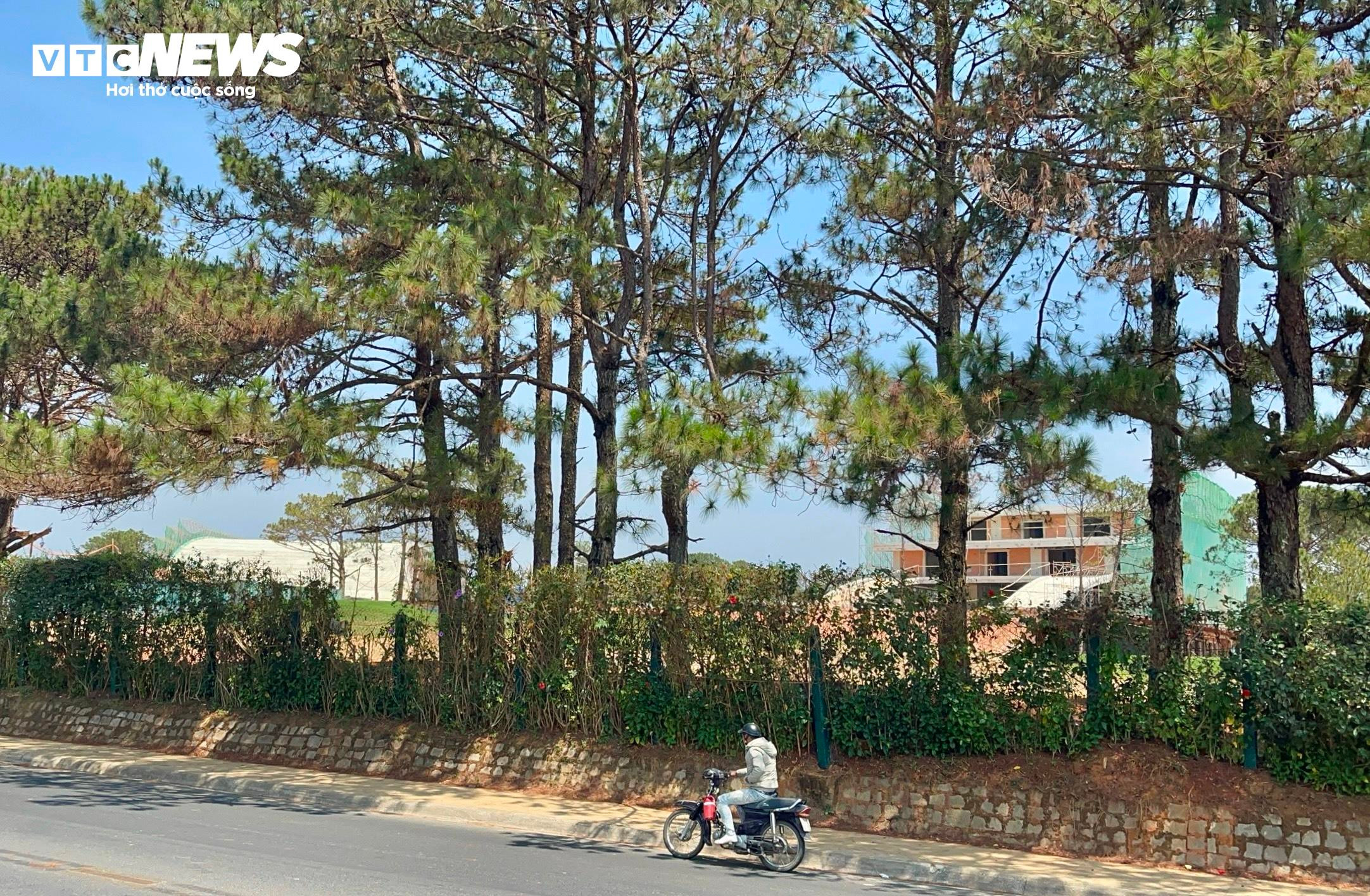 Công trình 'mọc' sai phép trong sân golf Đồi Cù Đà Lạt giờ ra sao? - 10