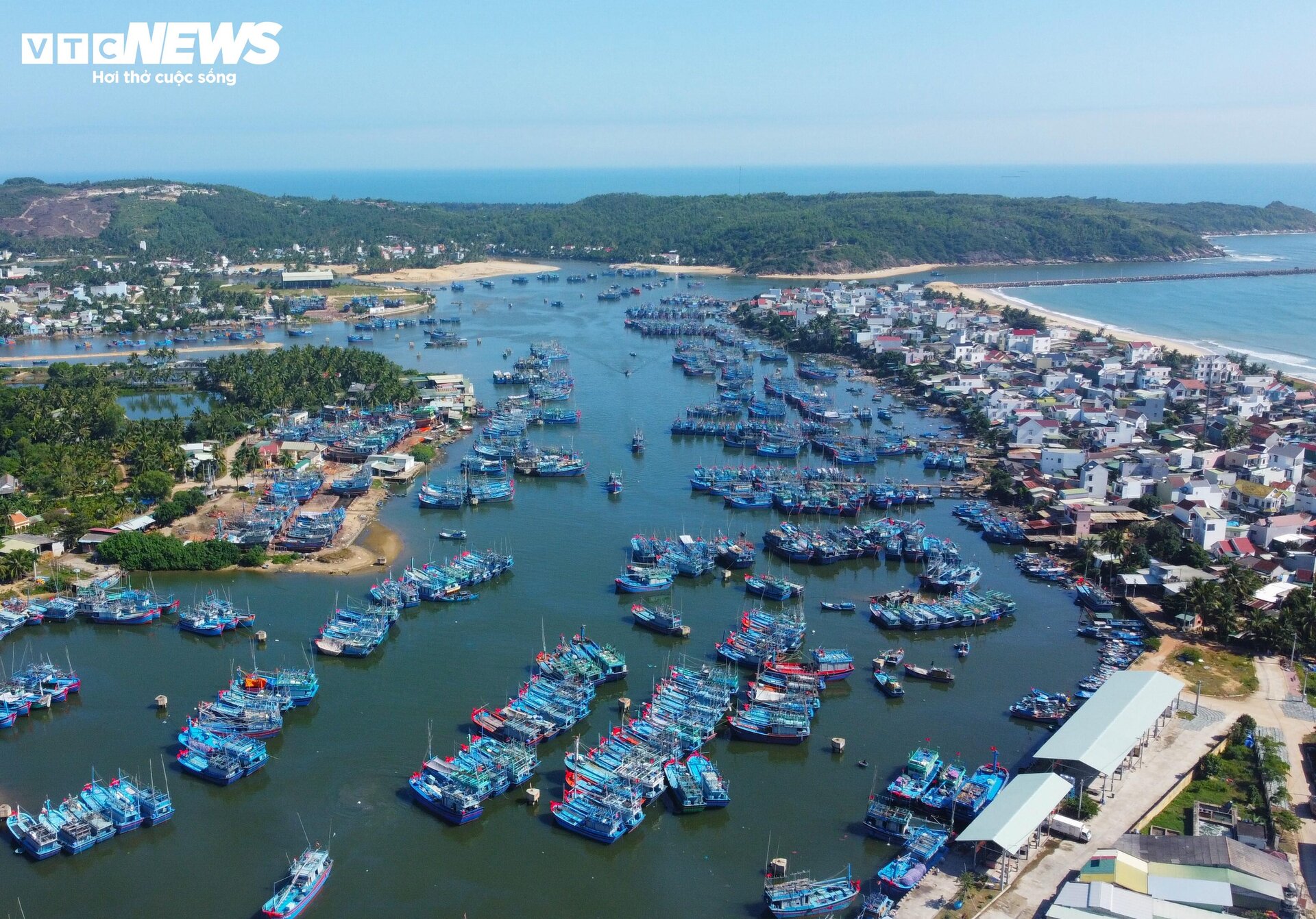 Cận cảnh nơi được đầu tư trăm tỷ xây khu tránh trú bão cho tàu cá tại Bình Định - 3