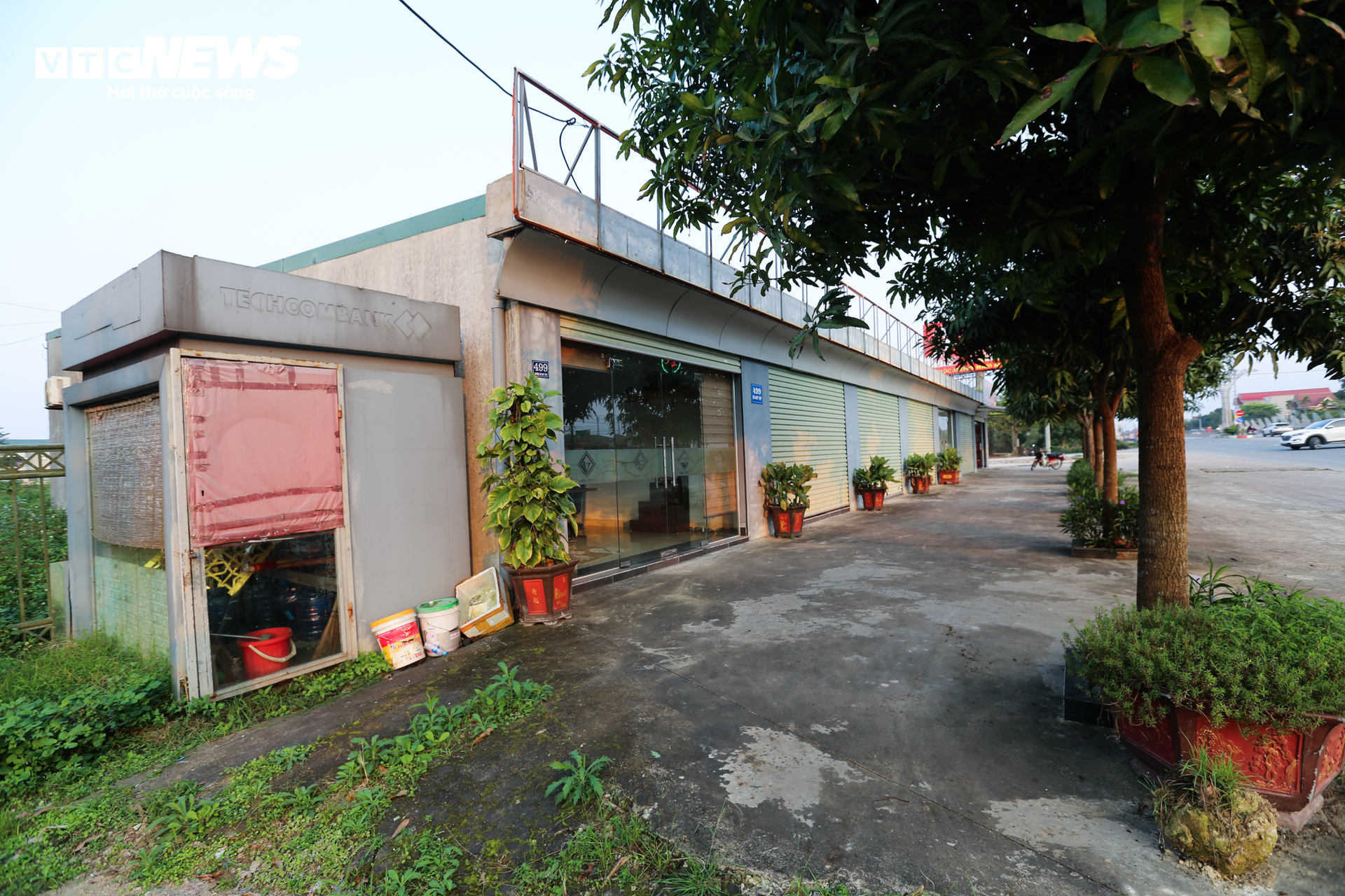 Dự án 1.200 tỷ đồng ở Hà Tĩnh trở thành nơi đàn bò gặm cỏ - 13