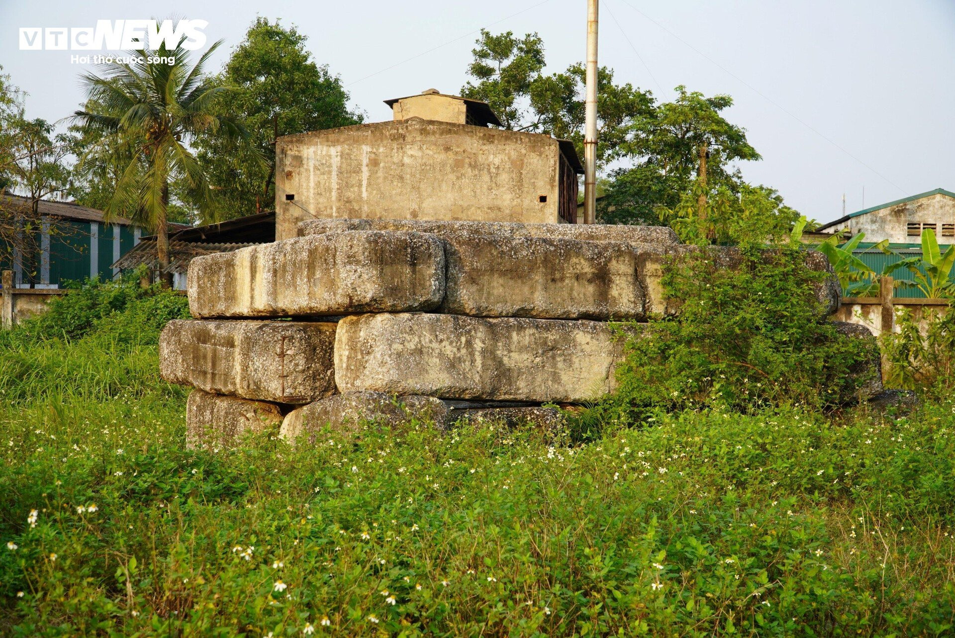 Dự án 1.200 tỷ đồng ở Hà Tĩnh trở thành nơi đàn bò gặm cỏ - 10