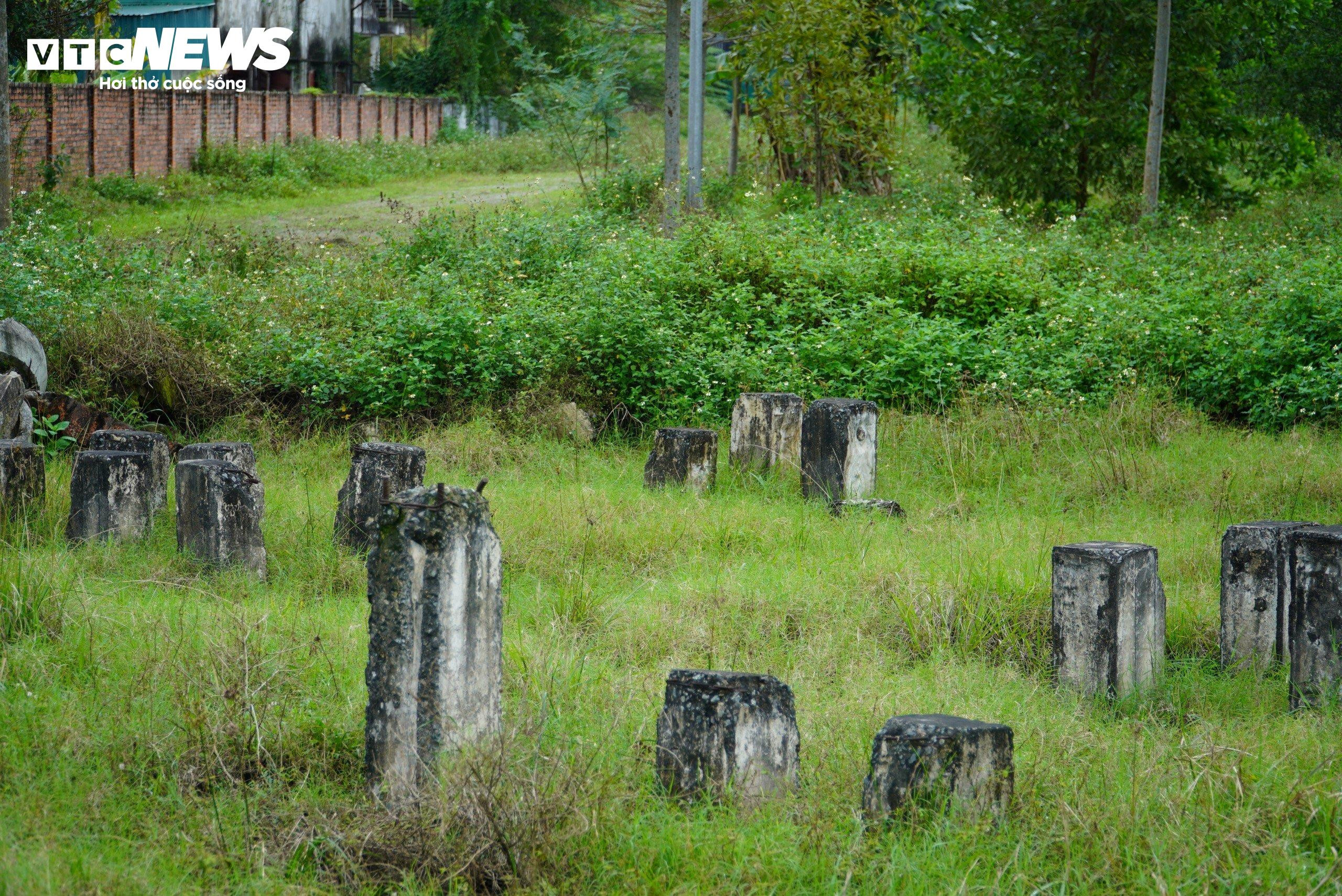 Dự án 1.200 tỷ đồng ở Hà Tĩnh trở thành nơi đàn bò gặm cỏ - 11