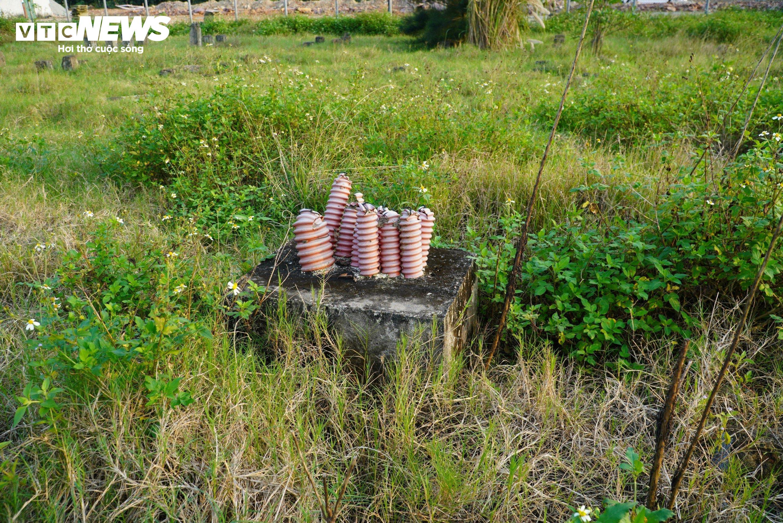 Dự án 1.200 tỷ đồng ở Hà Tĩnh trở thành nơi đàn bò gặm cỏ - 12