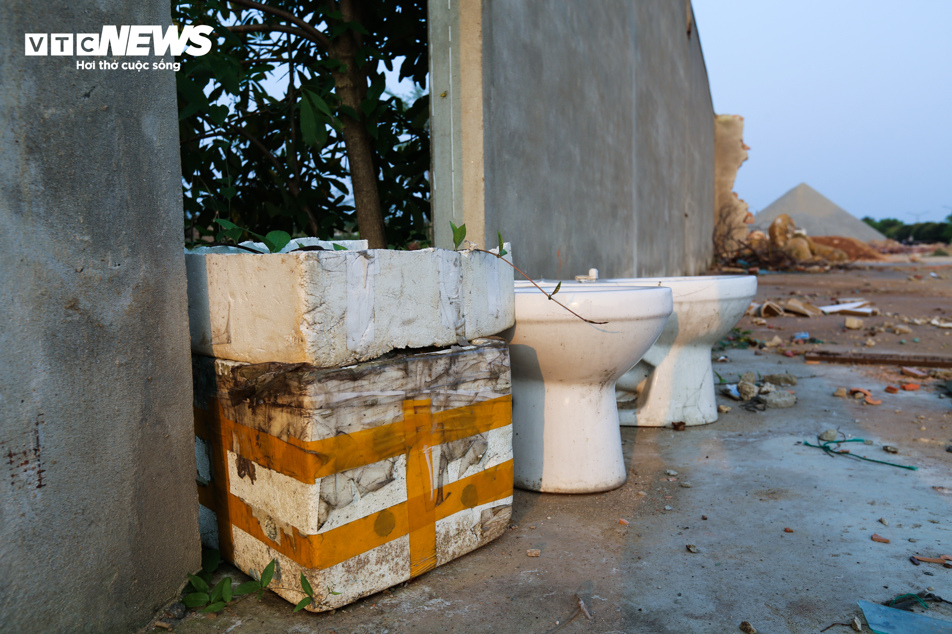 Dự án 1.200 tỷ đồng ở Hà Tĩnh trở thành nơi đàn bò gặm cỏ - 9