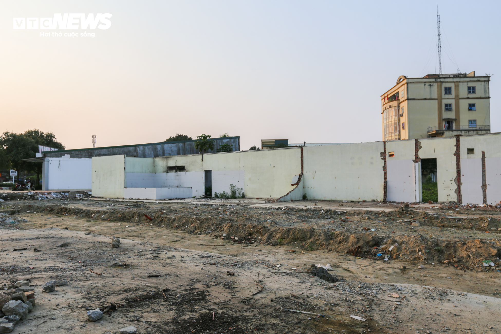 Dự án 1.200 tỷ đồng ở Hà Tĩnh trở thành nơi đàn bò gặm cỏ - 7