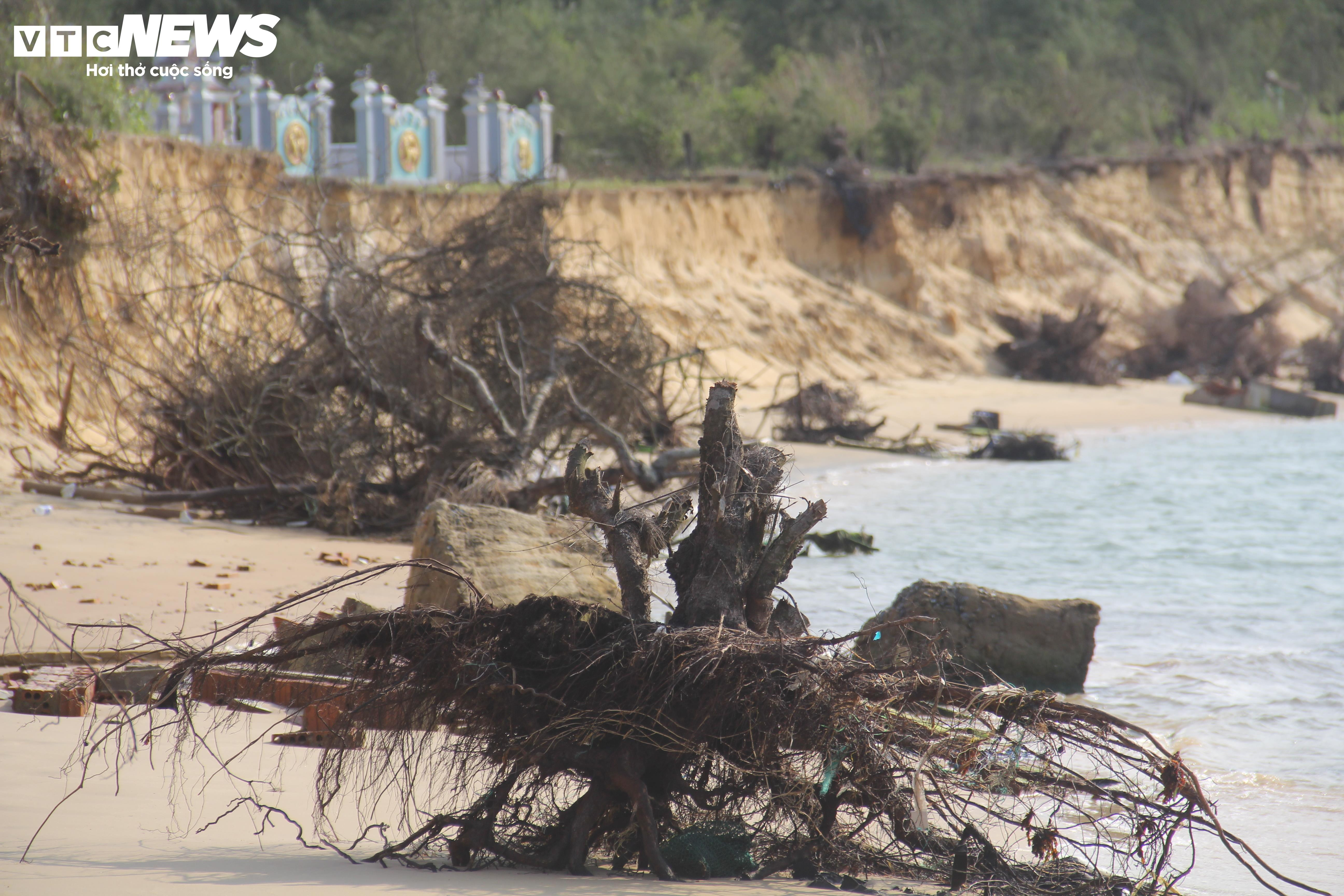 Sóng cuốn sập nhà tạm, 'nuốt chửng' ao tôm của người dân ven biển ở Quảng Nam - 4