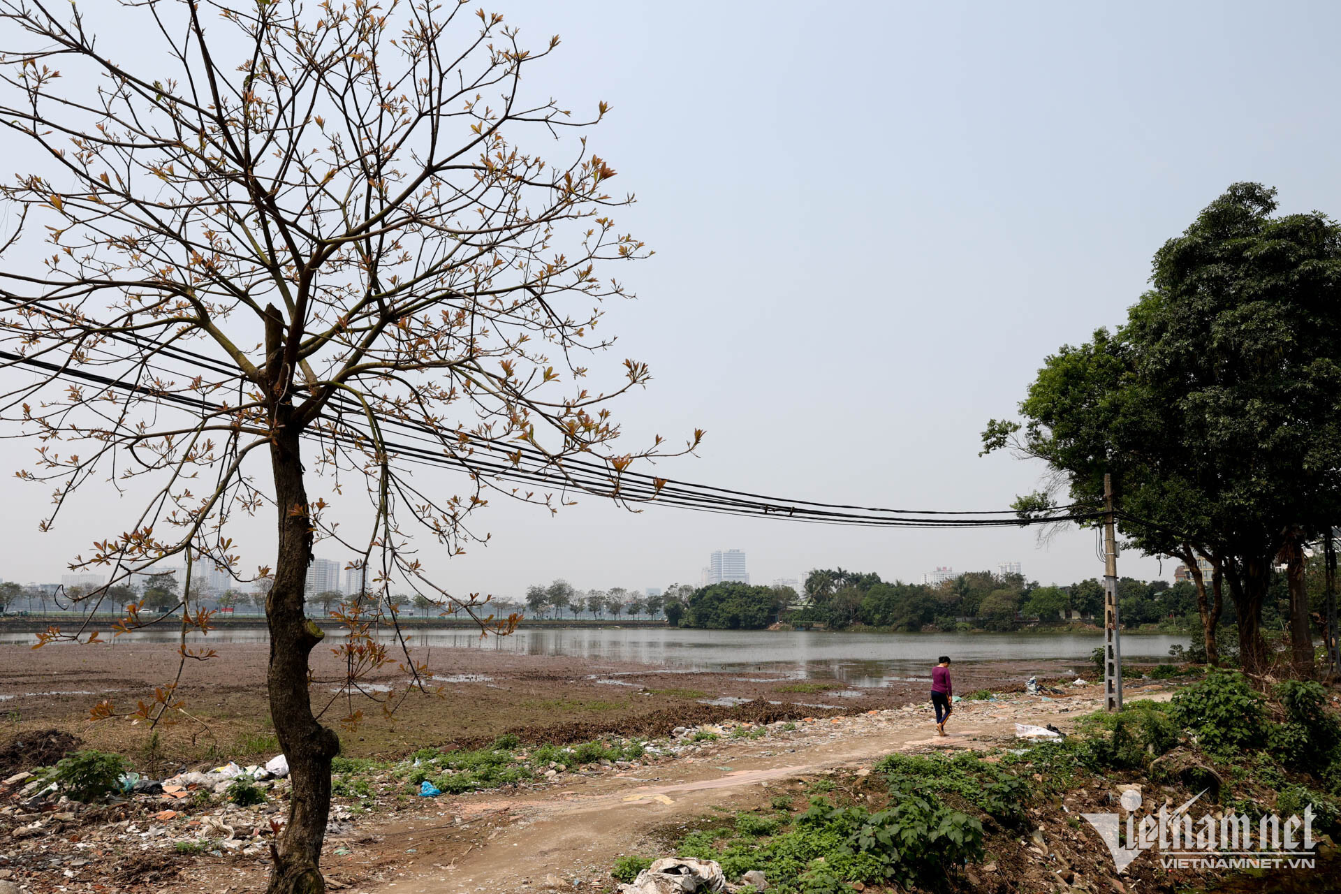 Đầm, ao ven Hồ Tây bất ngờ bị cạn nước, bốc mùi khó ngửi - 11