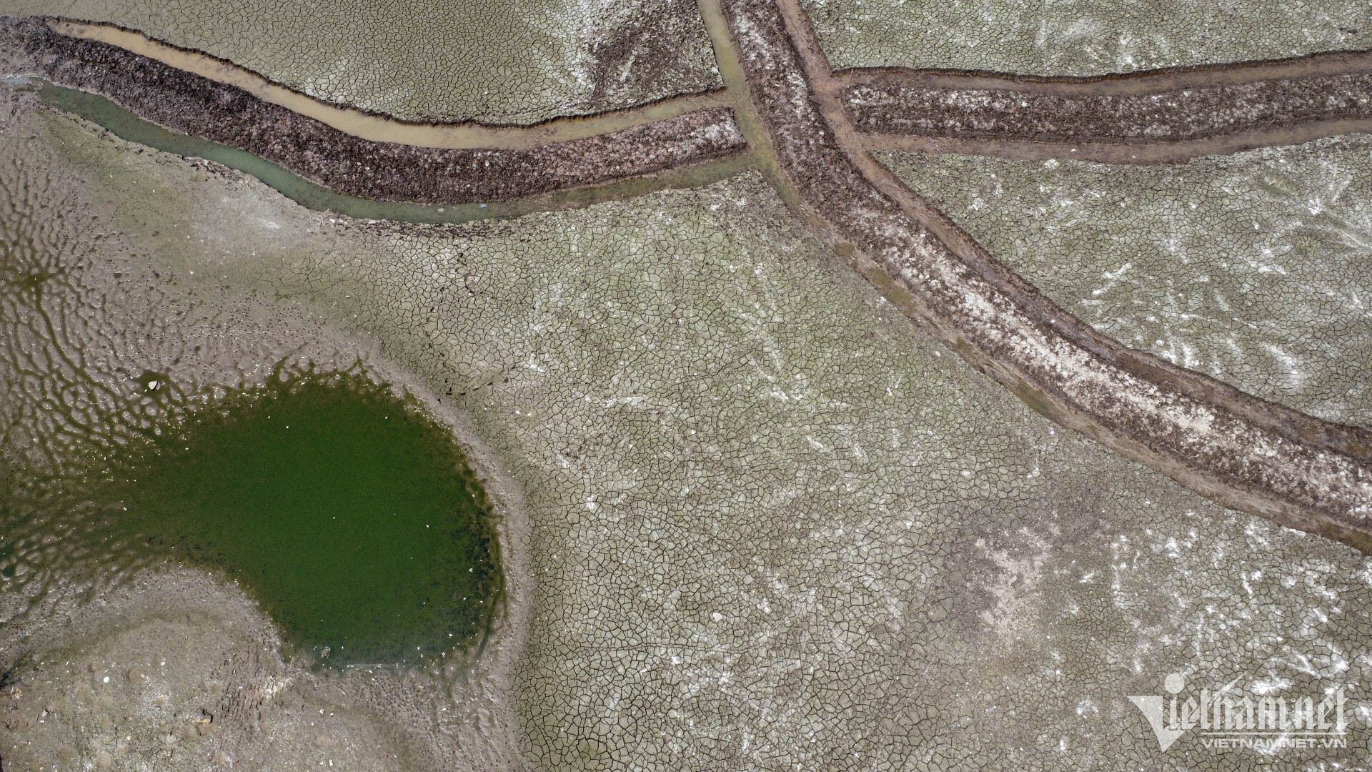 Đầm, ao ven Hồ Tây bất ngờ bị cạn nước, bốc mùi khó ngửi - 2