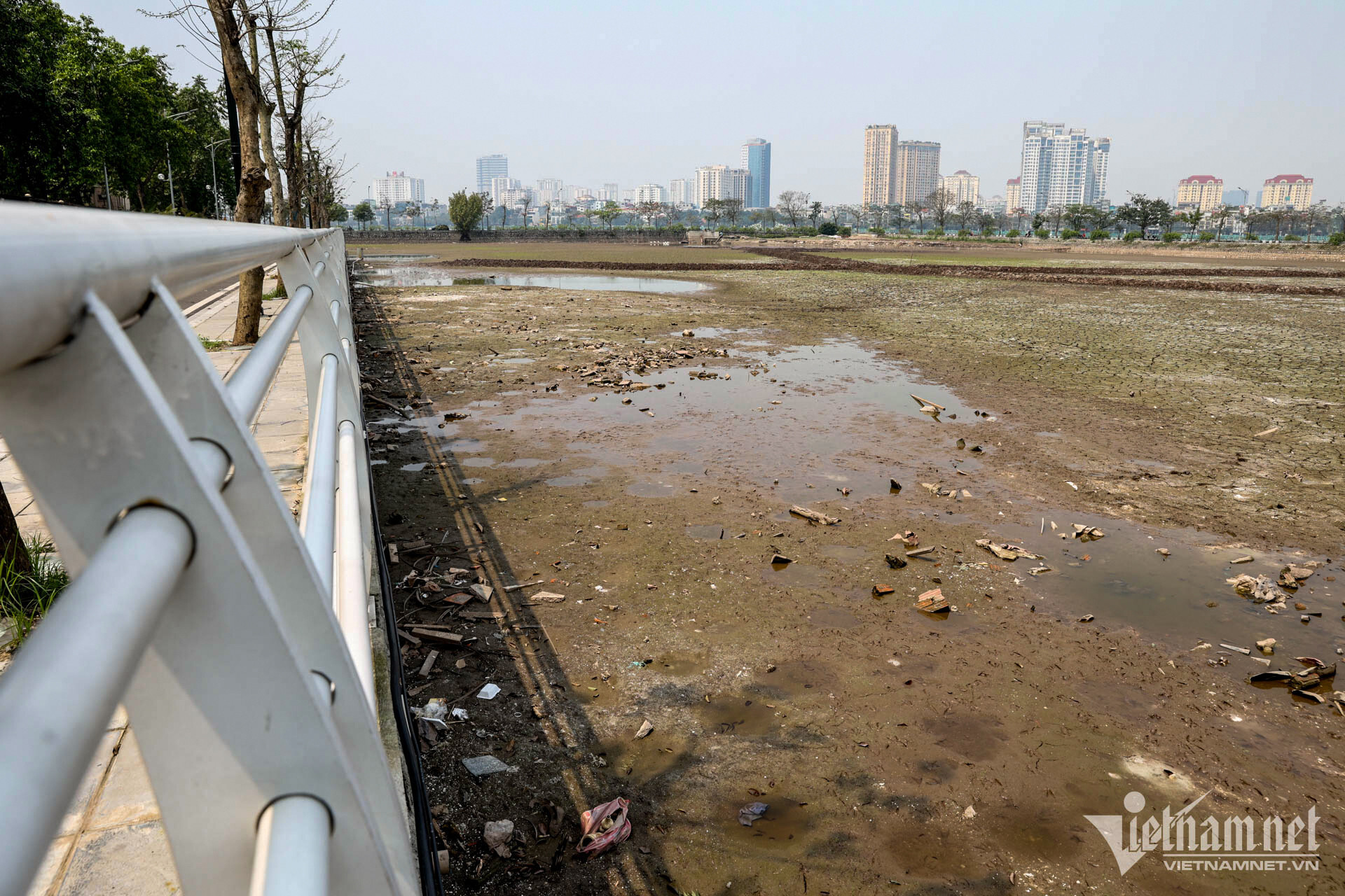Đầm, ao ven Hồ Tây bất ngờ bị cạn nước, bốc mùi khó ngửi - 3