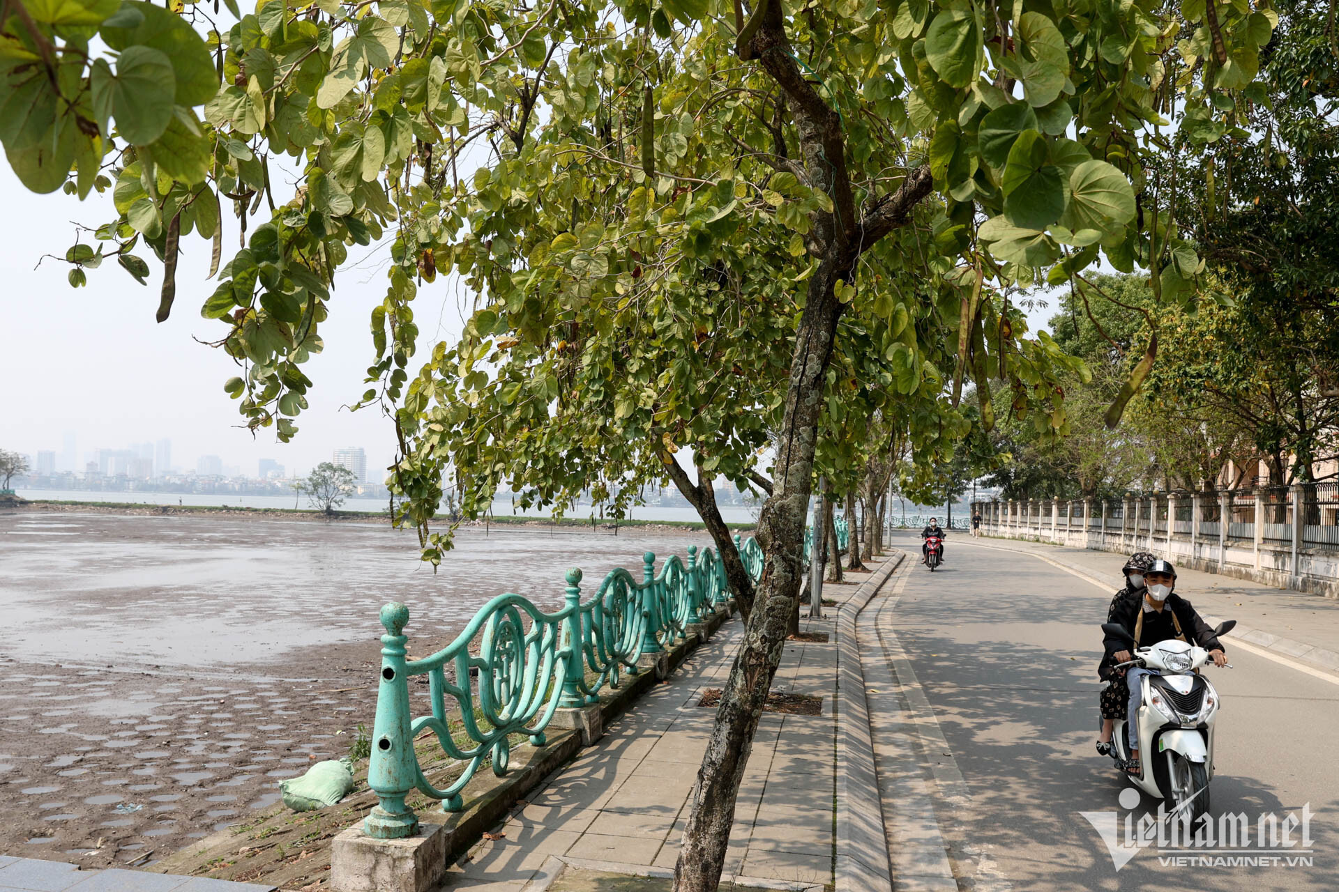 Đầm, ao ven Hồ Tây bất ngờ bị cạn nước, bốc mùi khó ngửi - 6